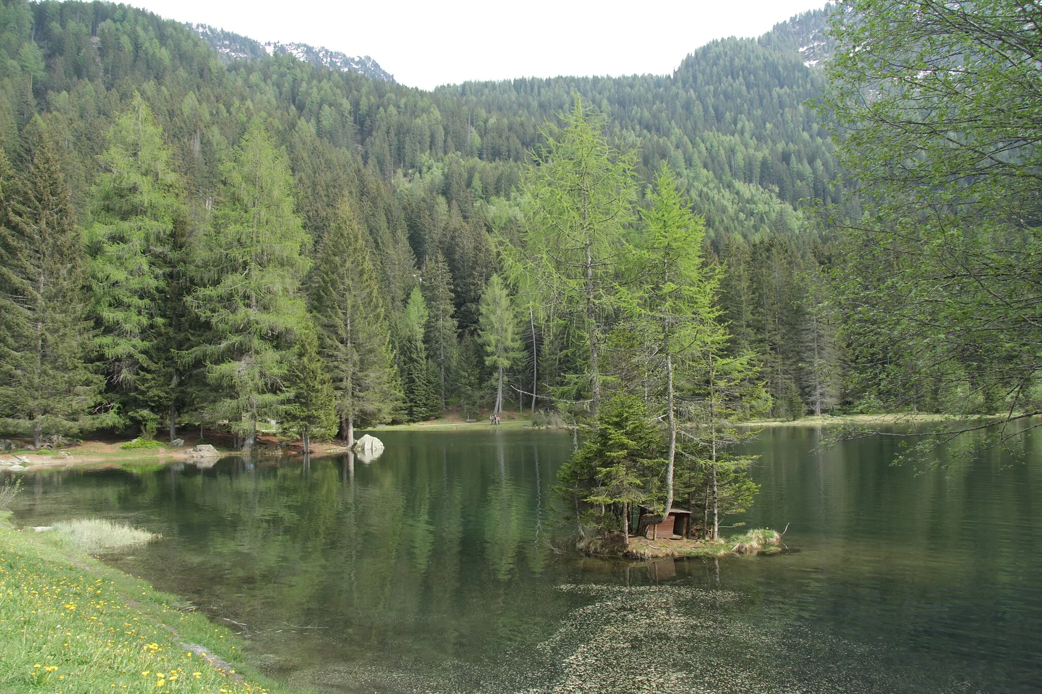 Photo showing: Pellizzano (Italy): view of Lago dei Caprioli from north.