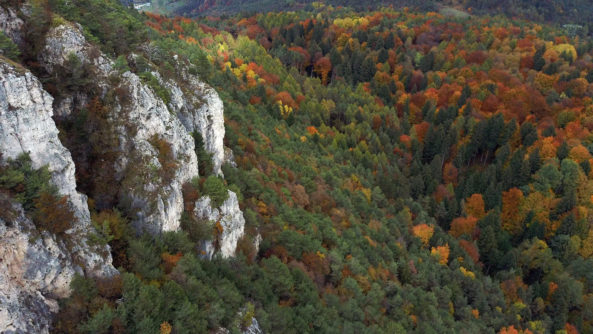 Photo showing: Giovo (Trentino, Italy) - Woods below Mount Corona