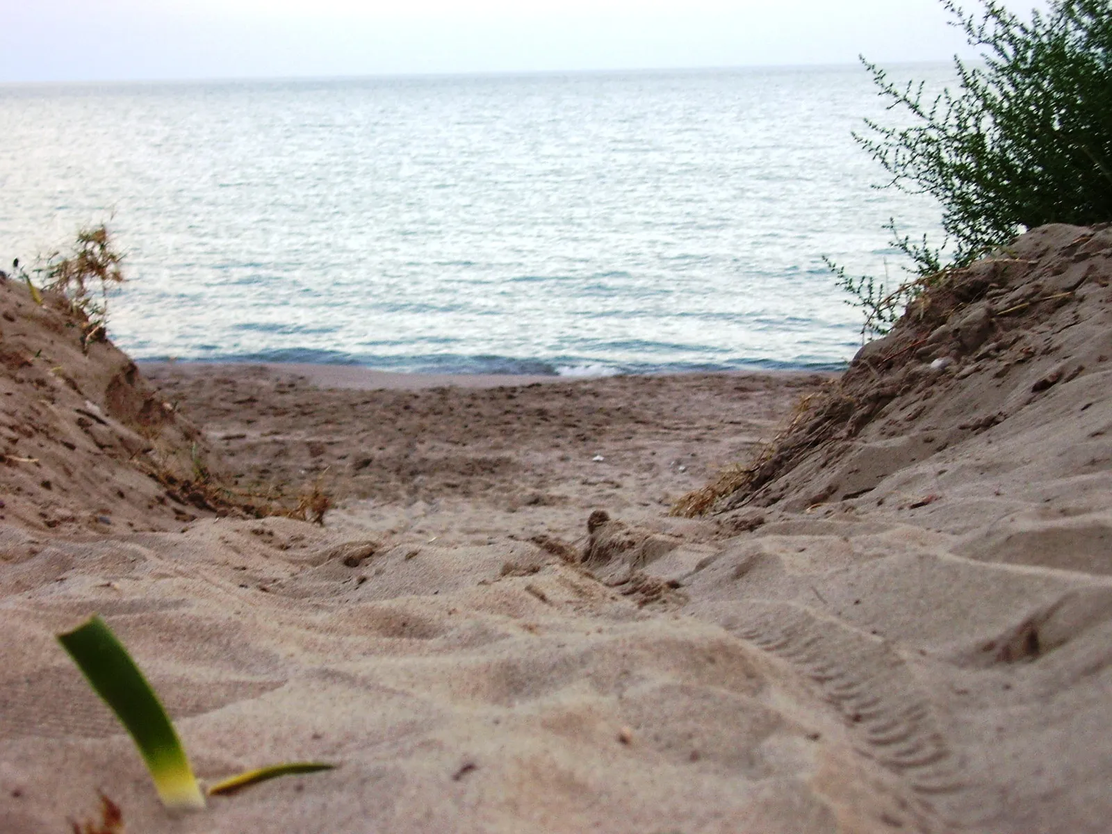 Photo showing: A view of the sea, Metaponto Lido.