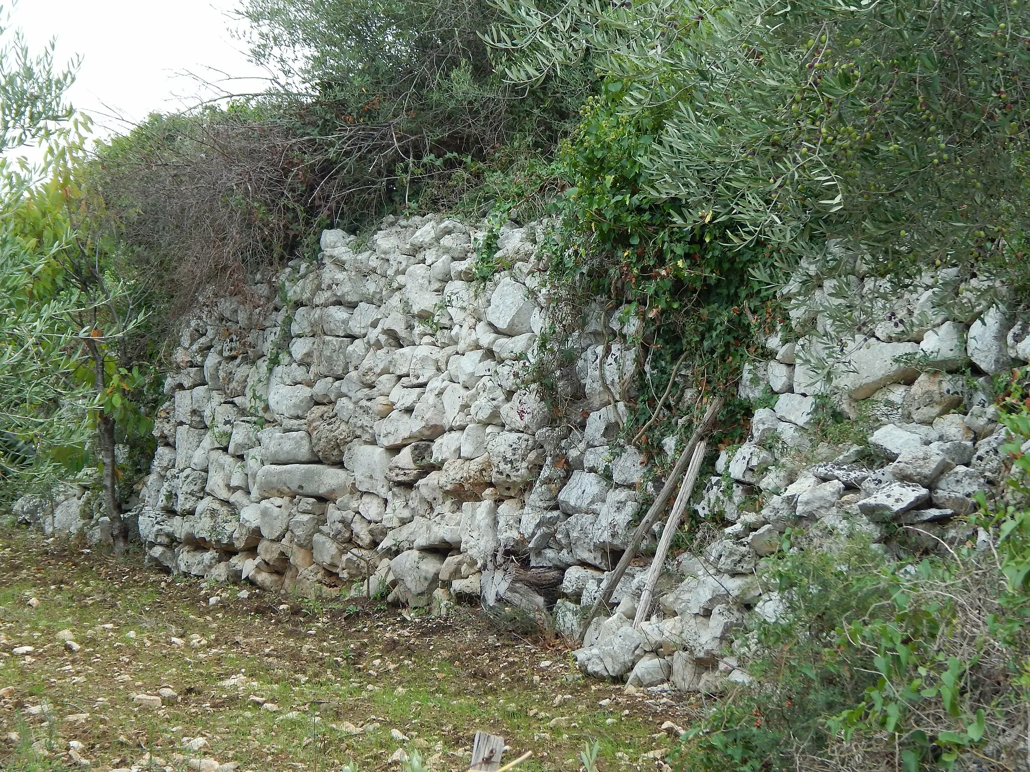 Photo showing: Muraglia di Azetium, insediamento peuceta presso Rutigliano (Bari)