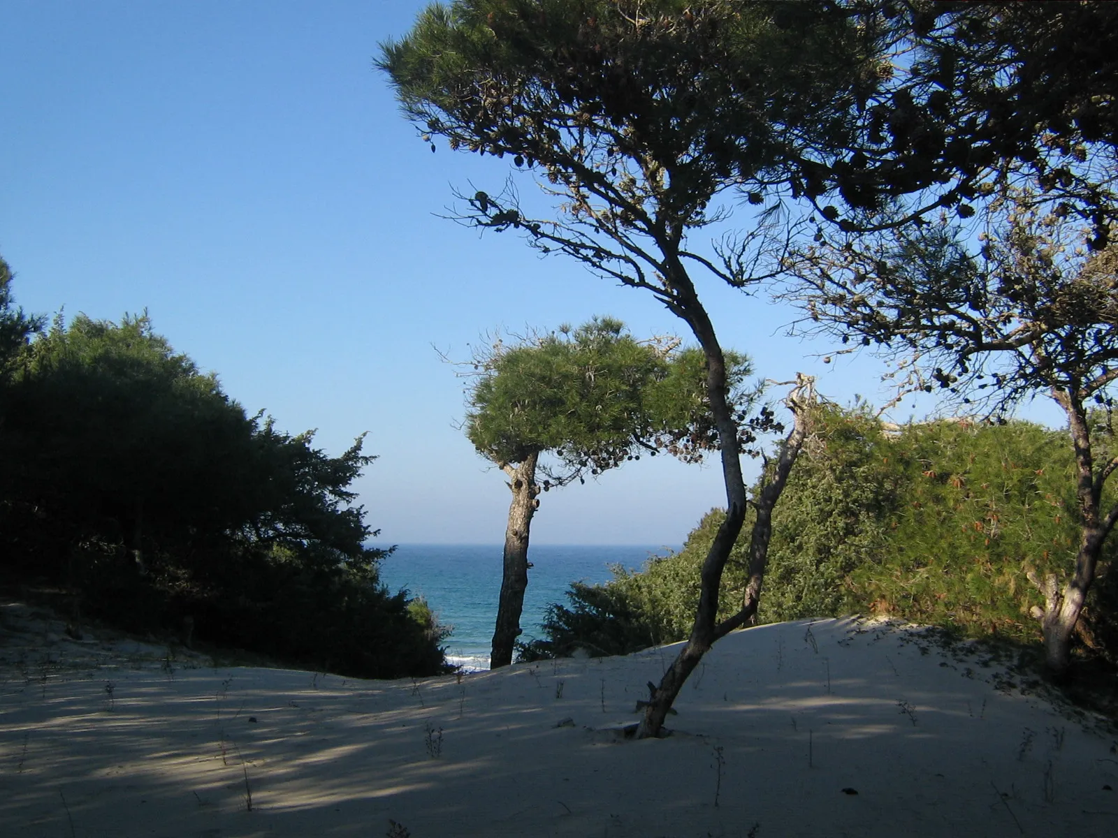 Photo showing: Torre dell'Orso Dune