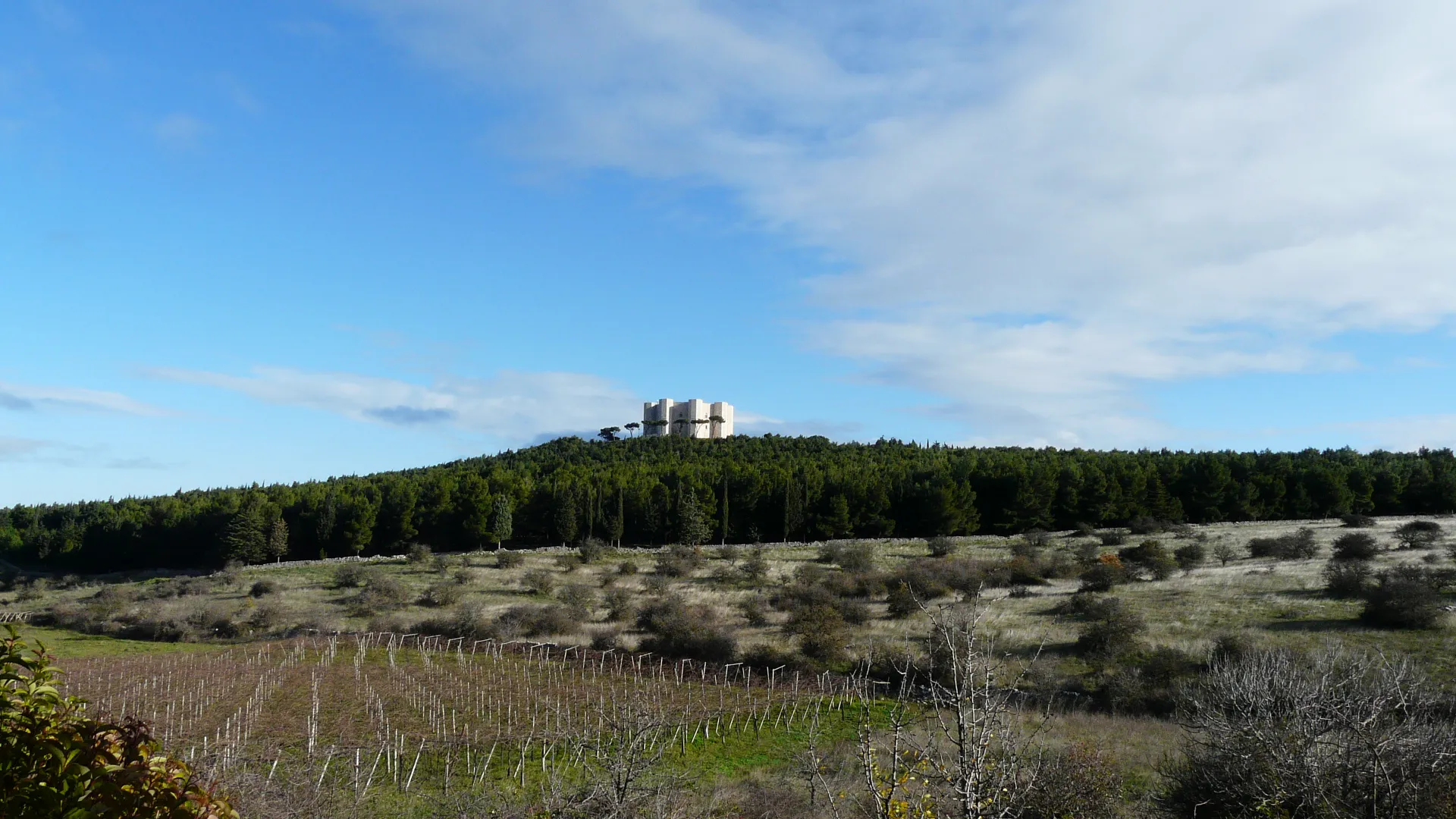 Photo showing: Andria, view of Castel del monte