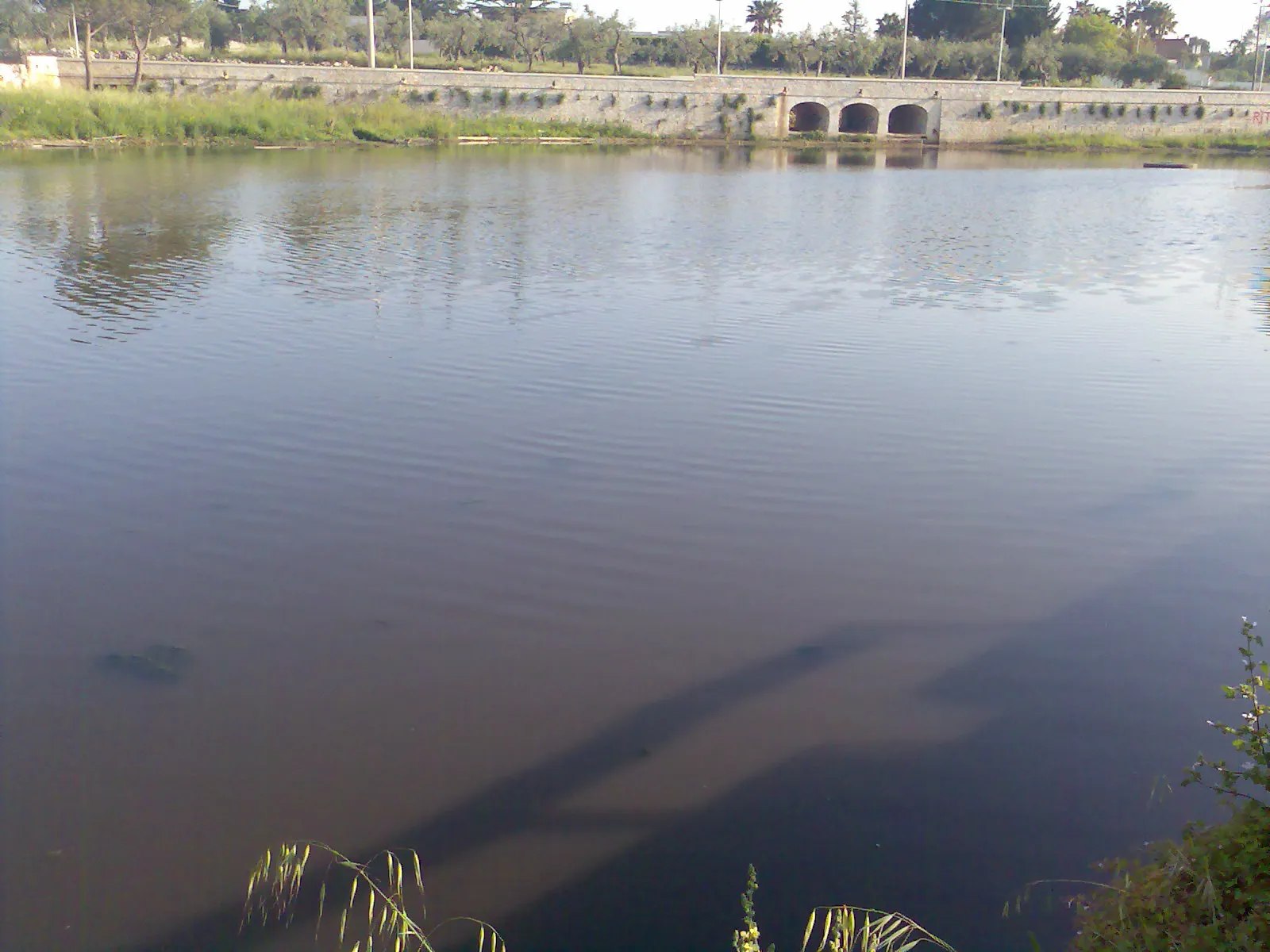 Photo showing: Gianluca Toro, lago Sassano