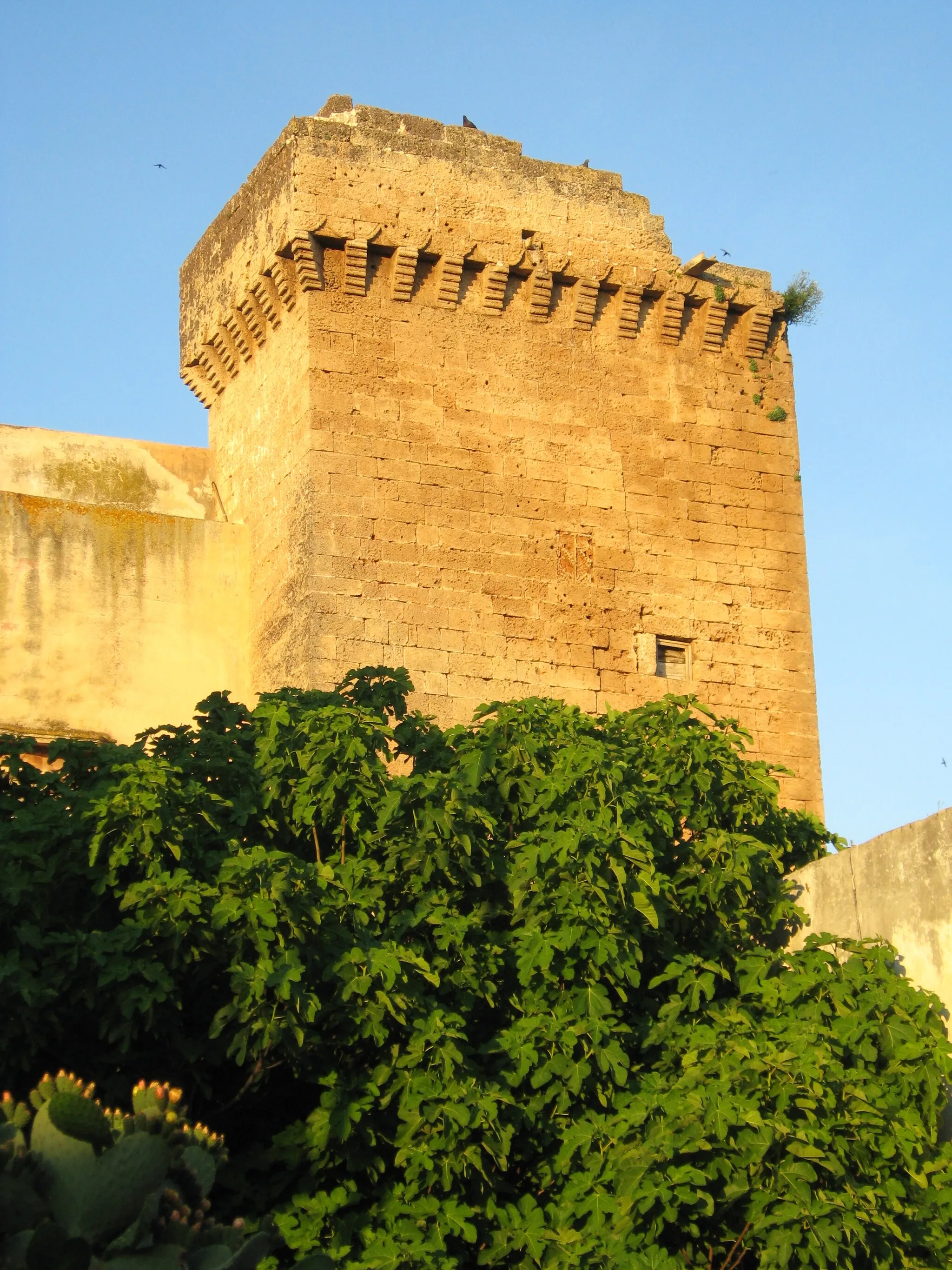 Photo showing: Torre del castello di Racale, un tempo inglobata nelle mura.