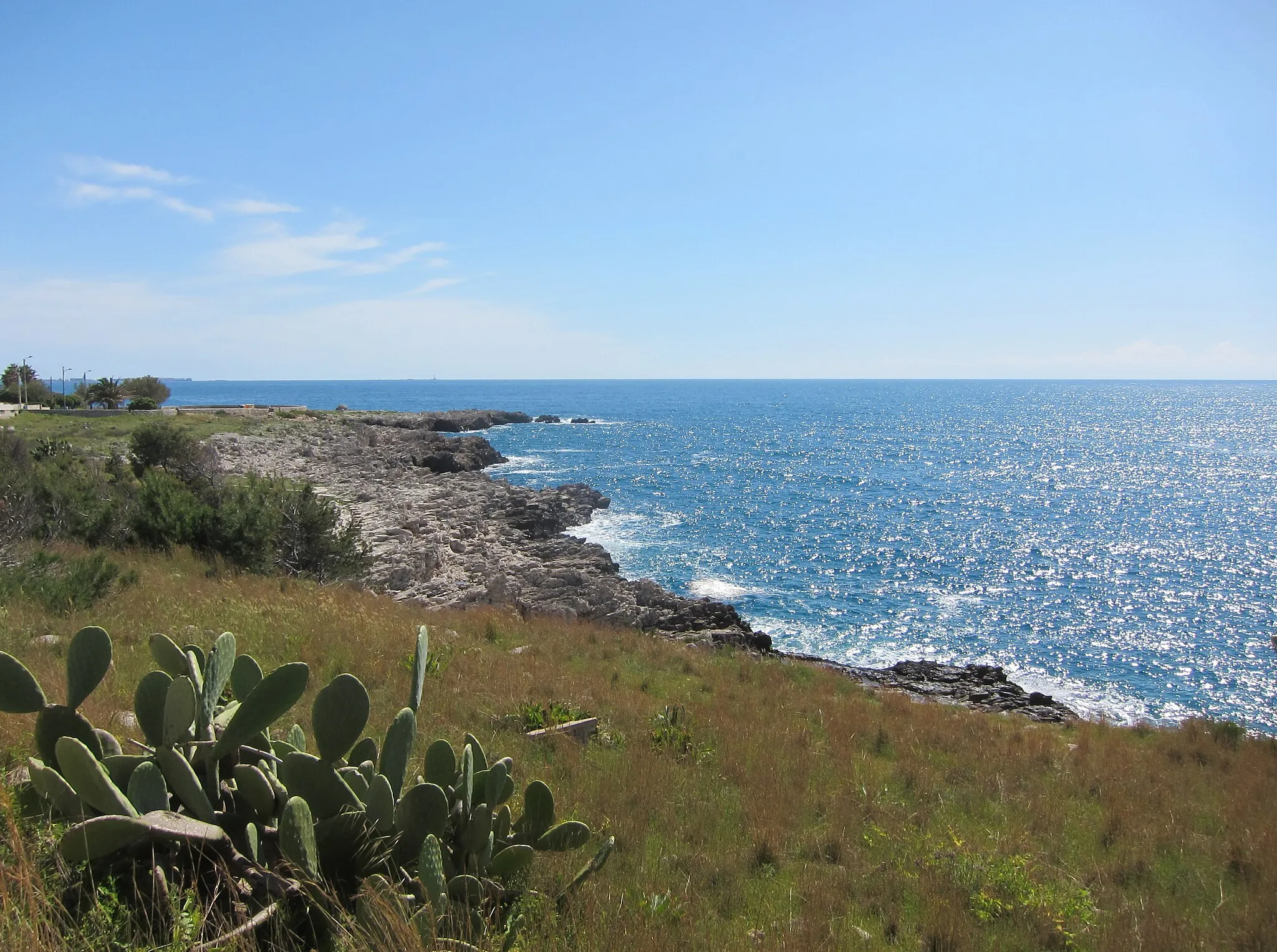 Photo showing: Cactus and the Ionian Sea