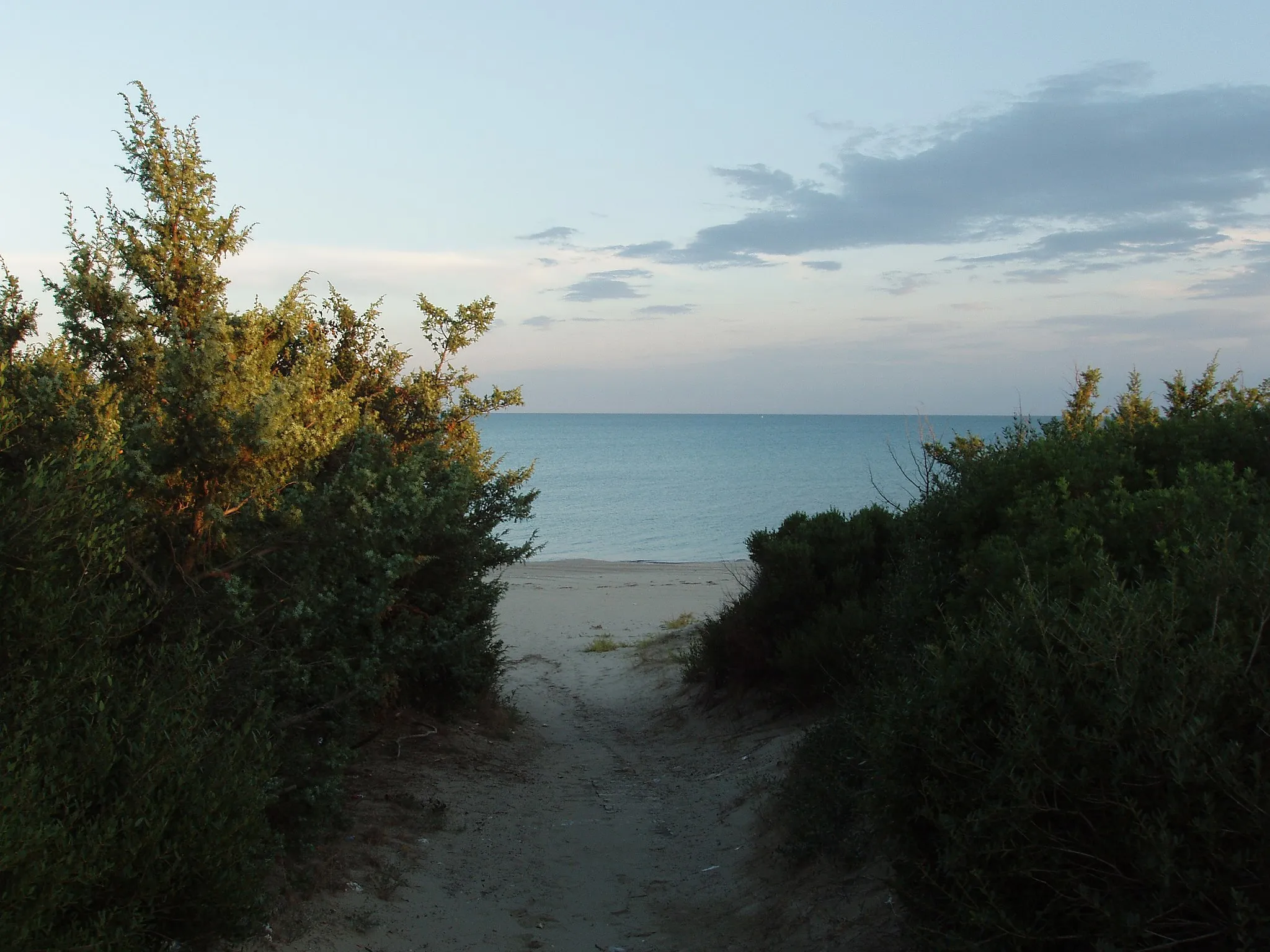 Photo showing: Castellaneta Marina - Sea and dune