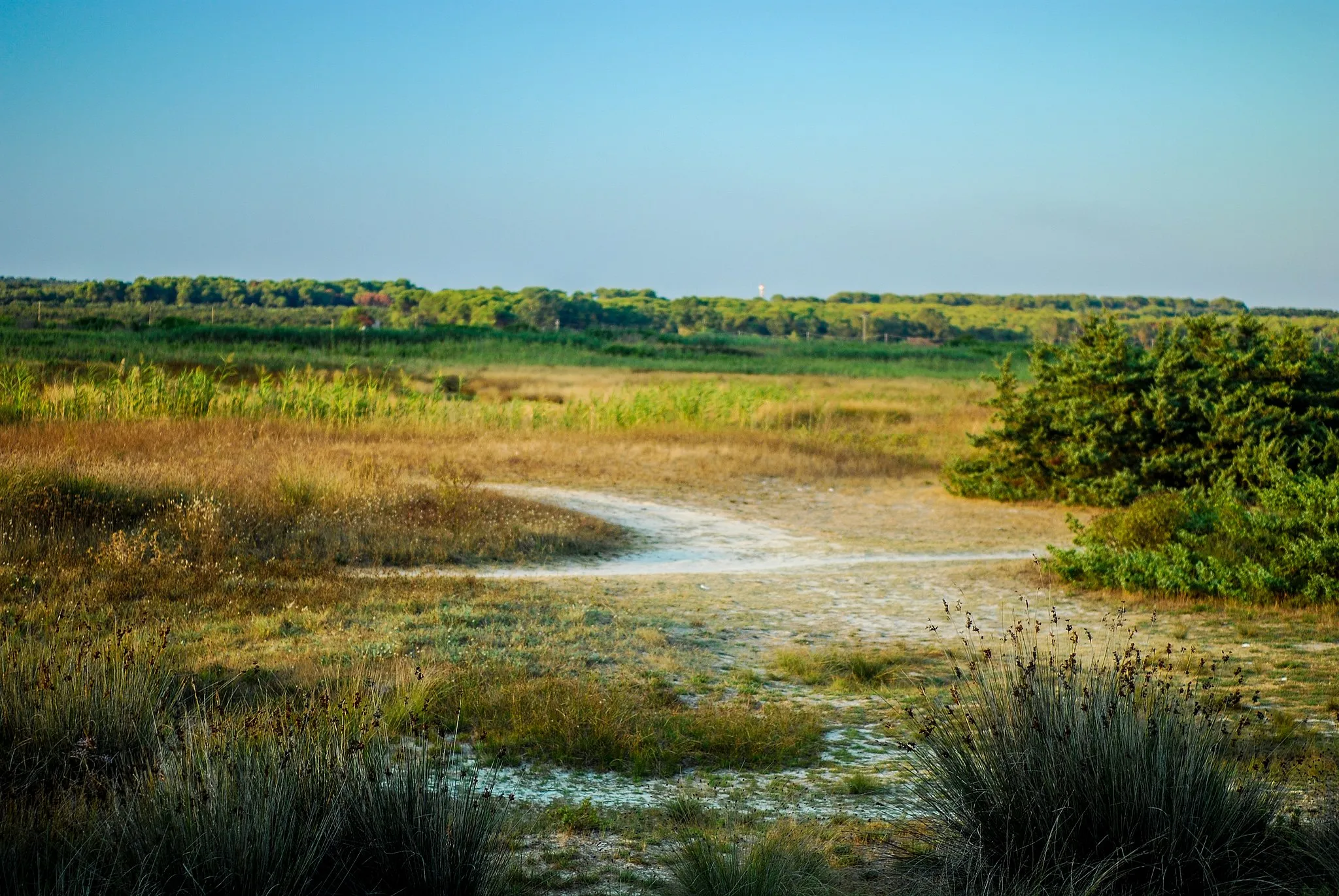 Photo showing: natural park Palude Del Conte