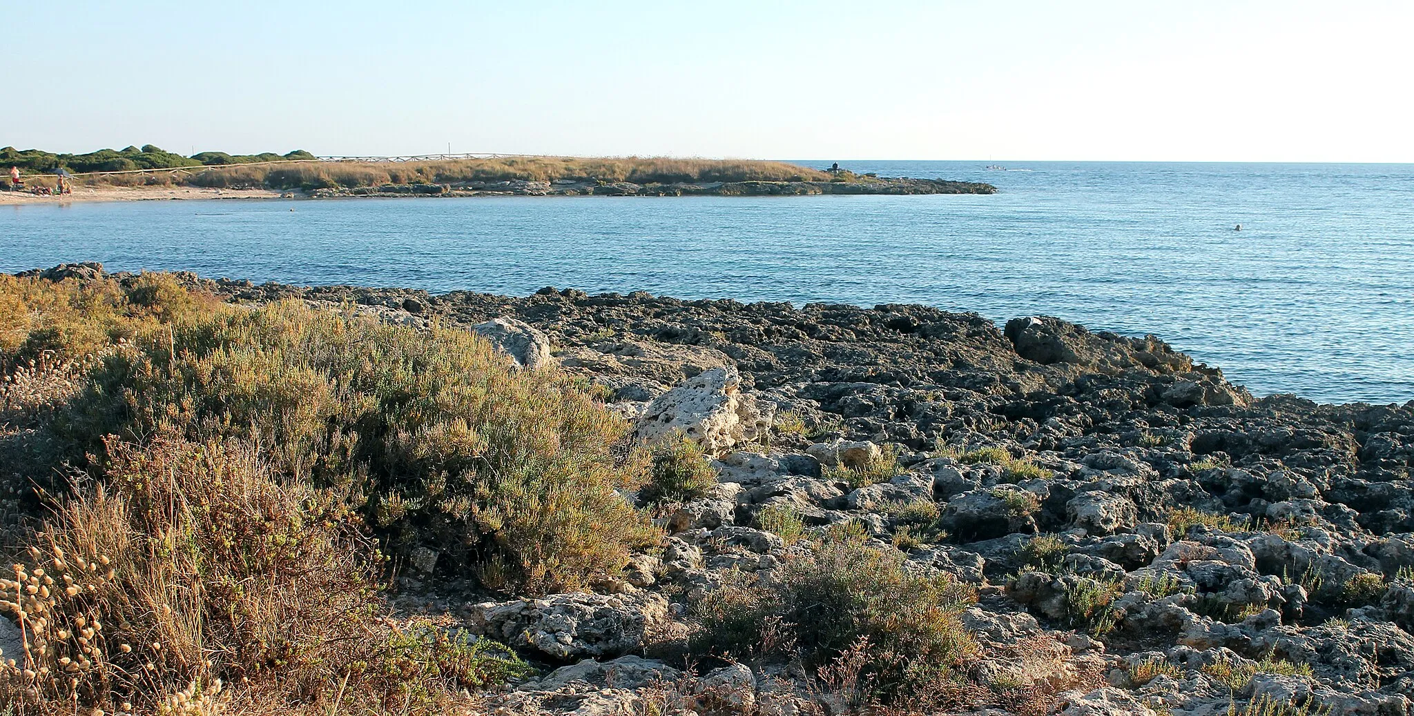 Photo showing: La macchia mediterranea a Punta Prosciutto... - The Mediterranean scrub at Punta Prosciutto...