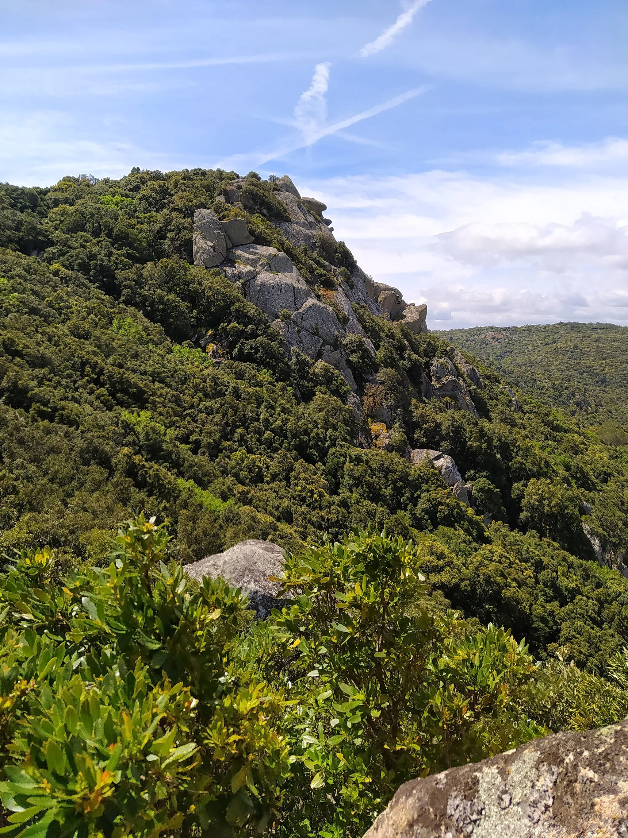 Photo showing: Monte Ortobene (Q55254666)