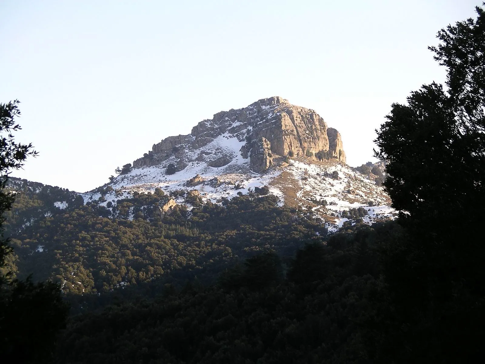 Photo showing: altre cime del Gennargentu