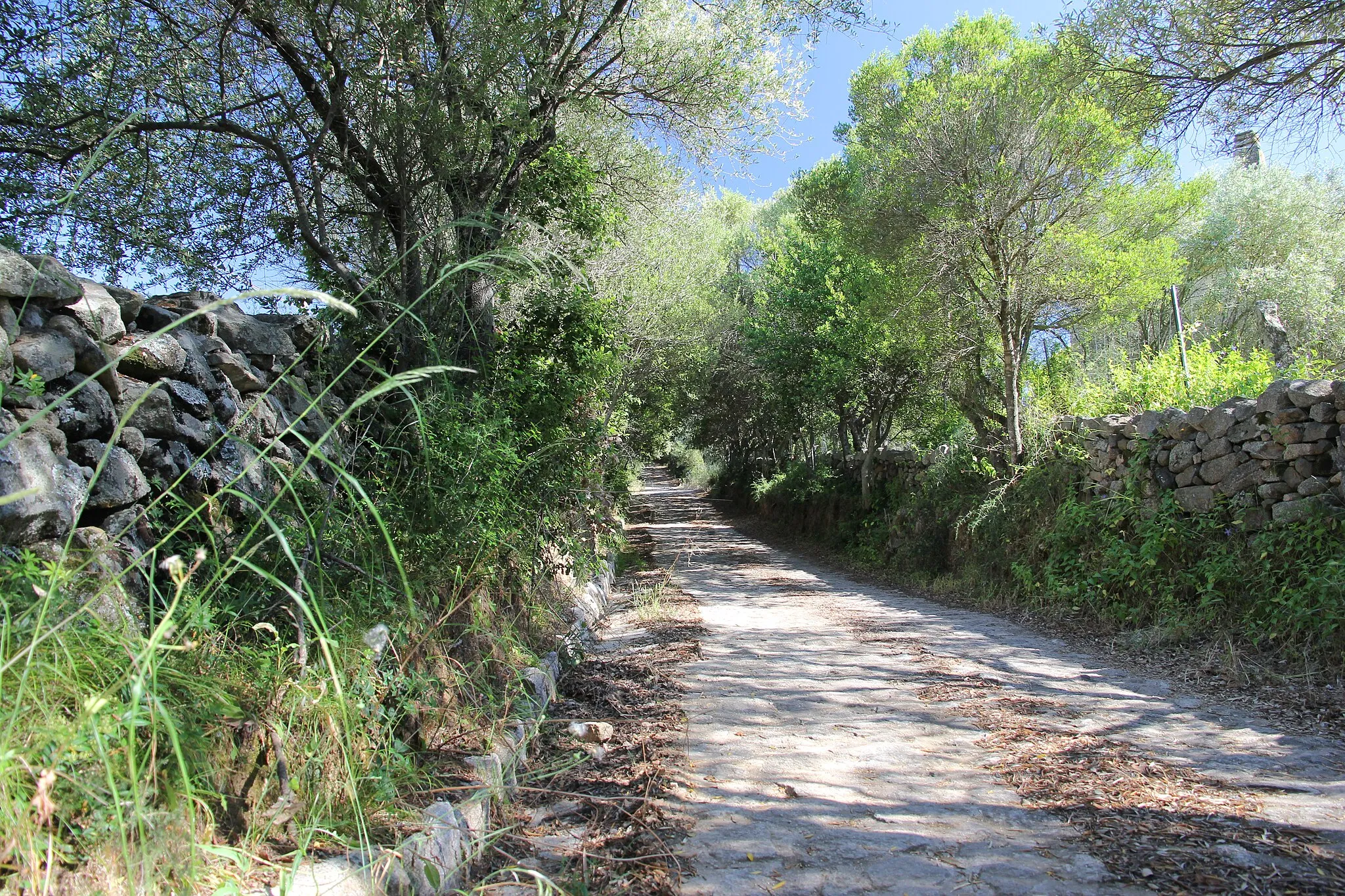 Photo showing: Luogosanto - Strada medievale