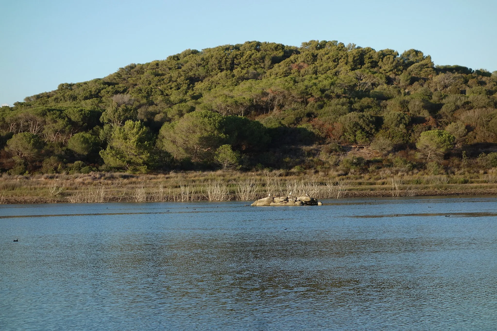 Photo showing: Lac Baratz, vue centrale sud-nord