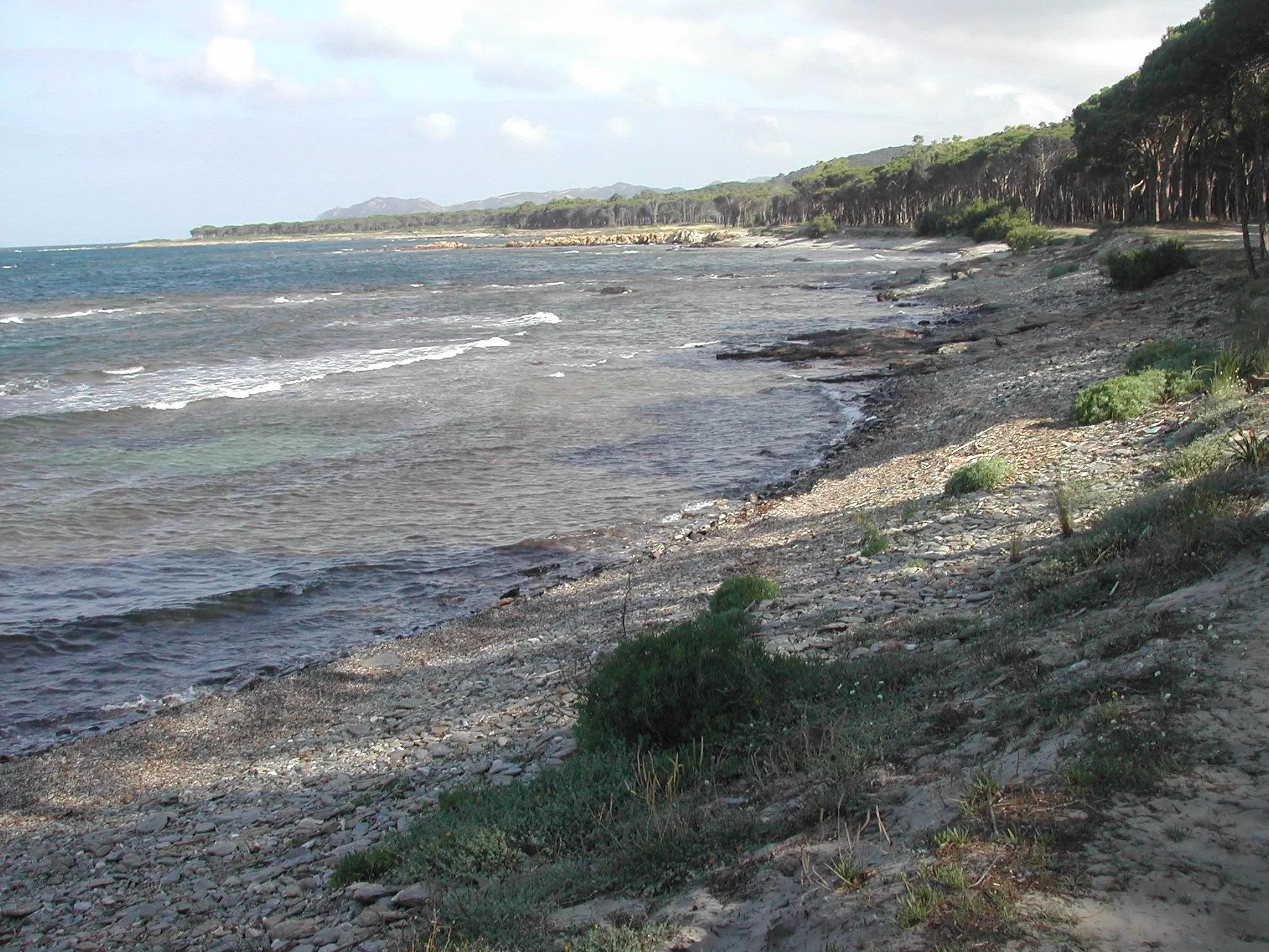 Photo showing: Beach Confetti Saint Lucia Siniscola Sardinia