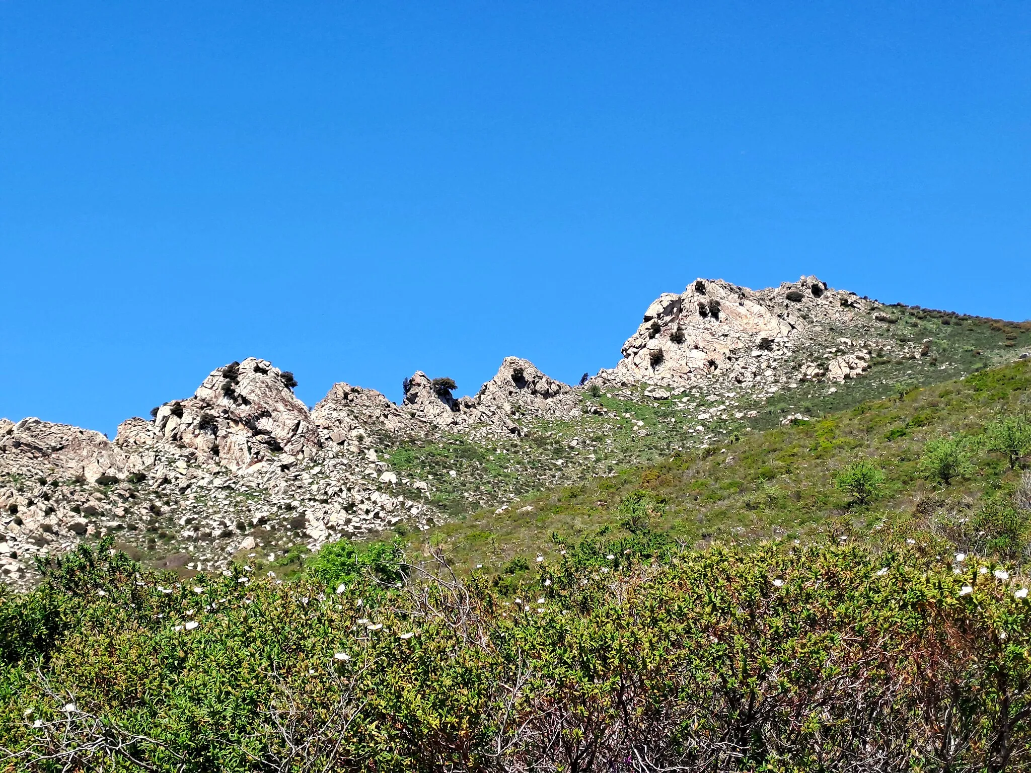 Photo showing: sardinian mountain