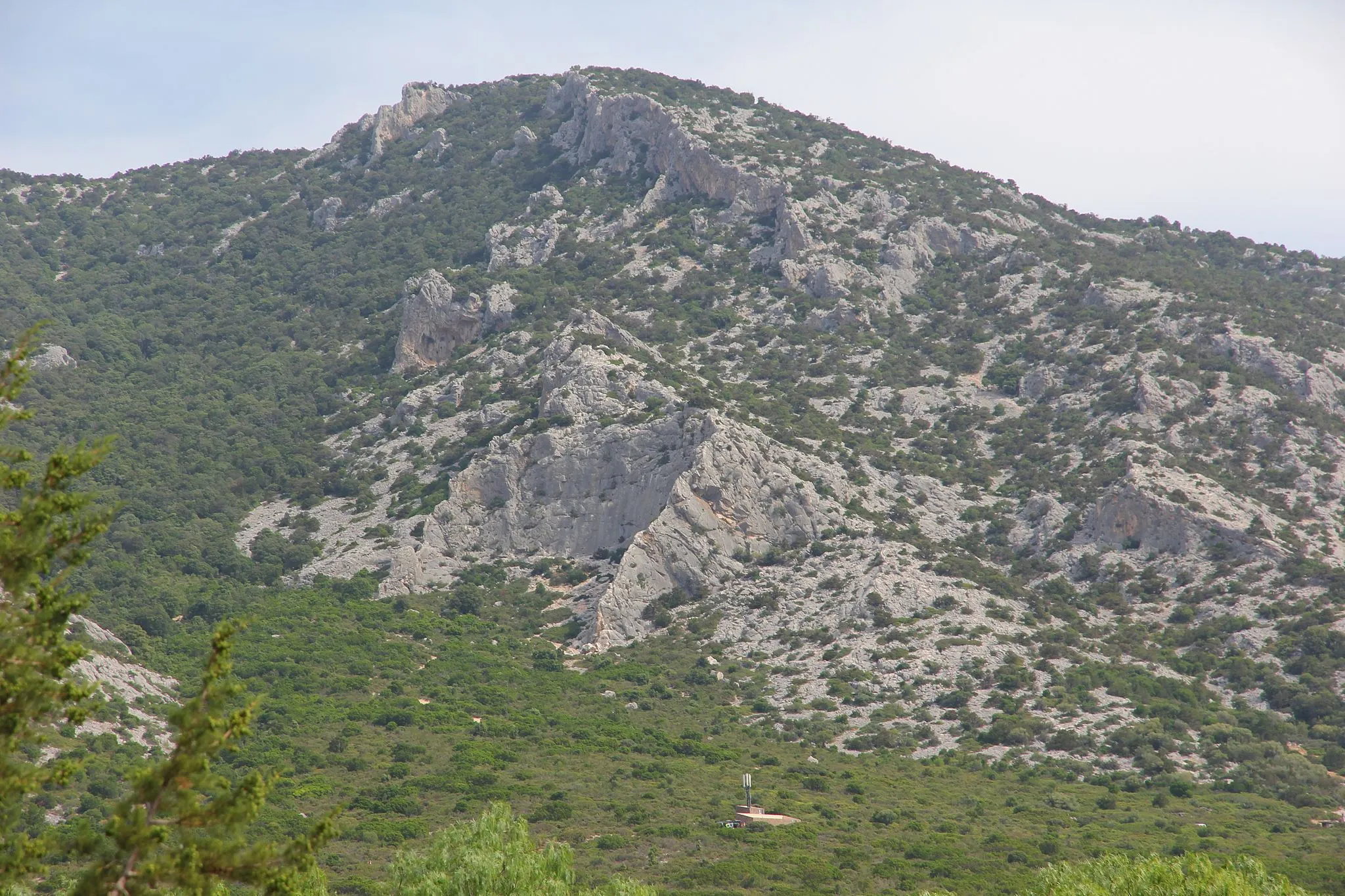 Photo showing: Dorgali - Monte Bardia