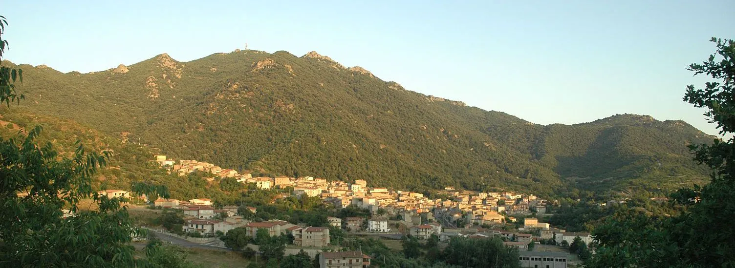 Photo showing: Panorama di Olzai