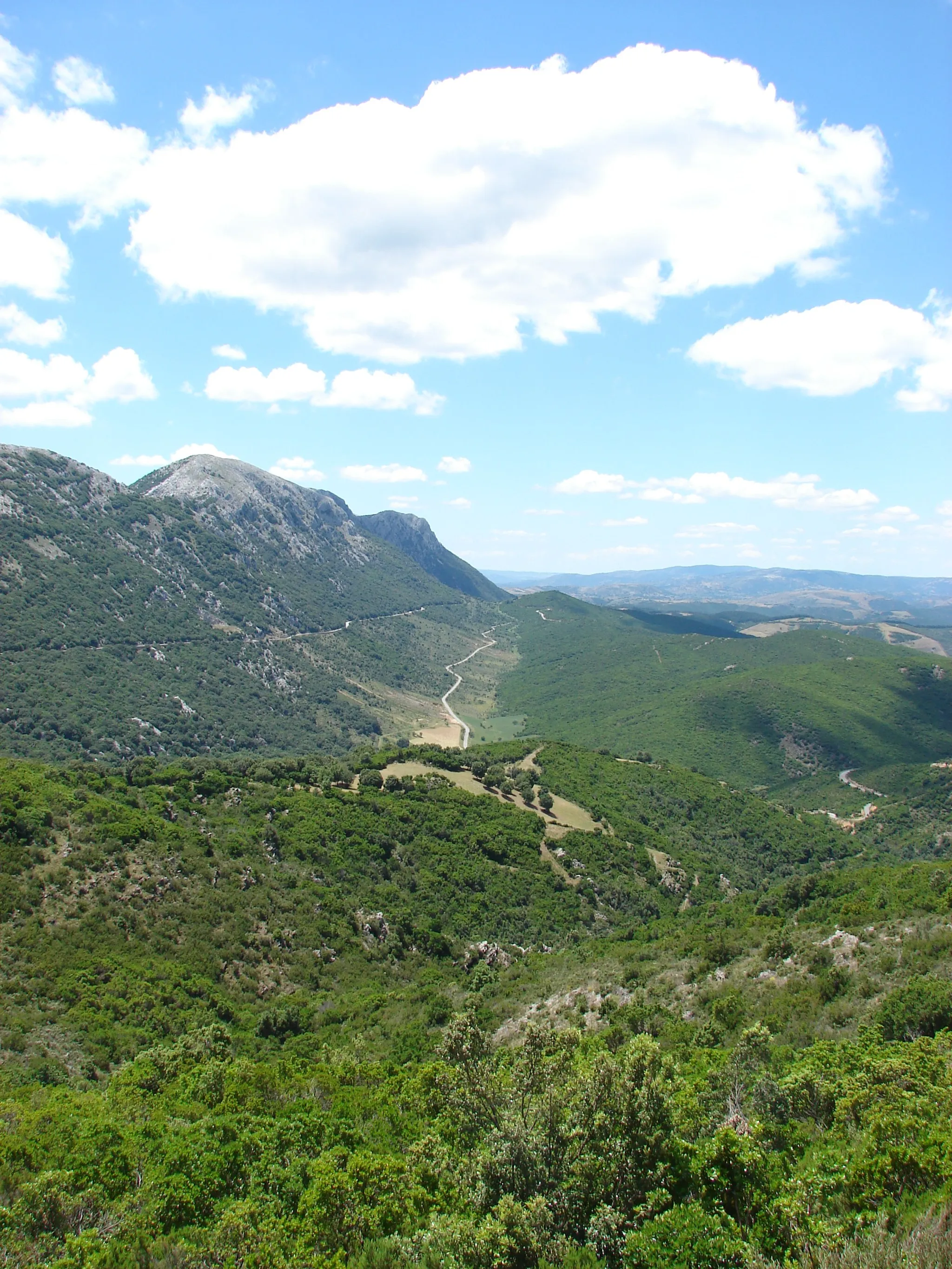 Photo showing: Monte Albo - sardinia