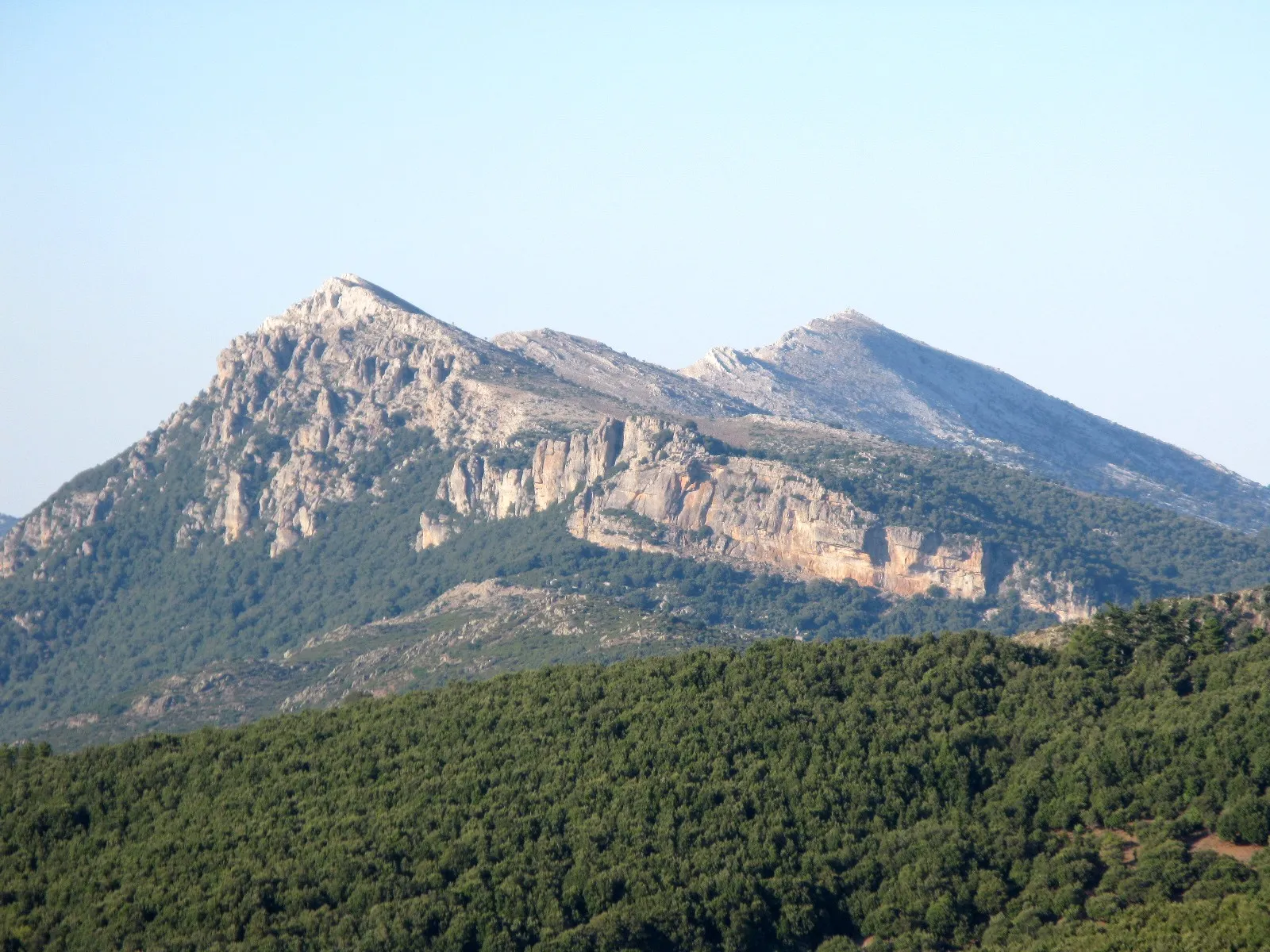 Photo showing: Supramonte di Orgosolo - Punta sa Pruna