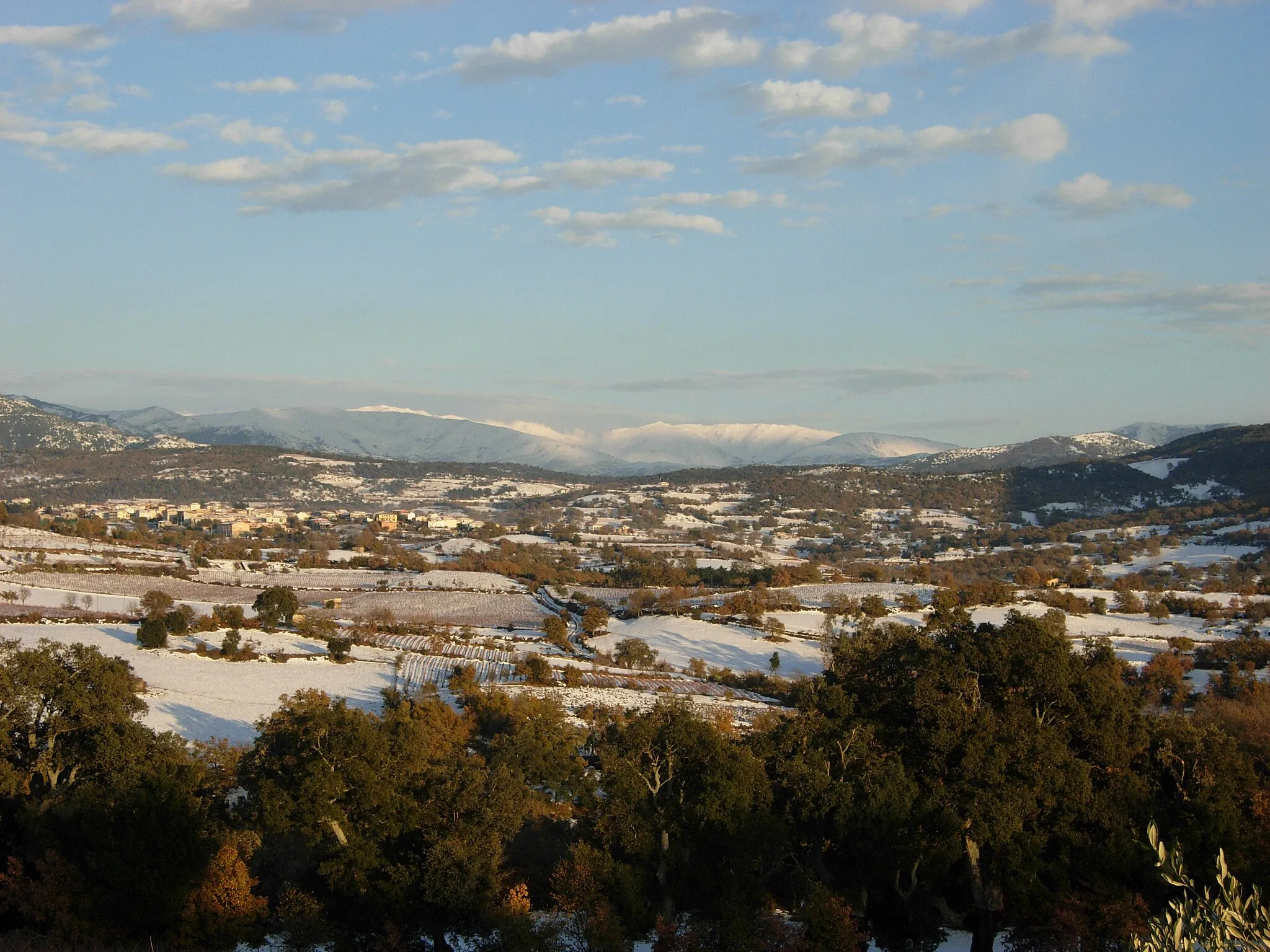 Photo showing: Atzara e i suoi vigneti sotto la neve.Sullo sfondo di Punta Lamarmora.