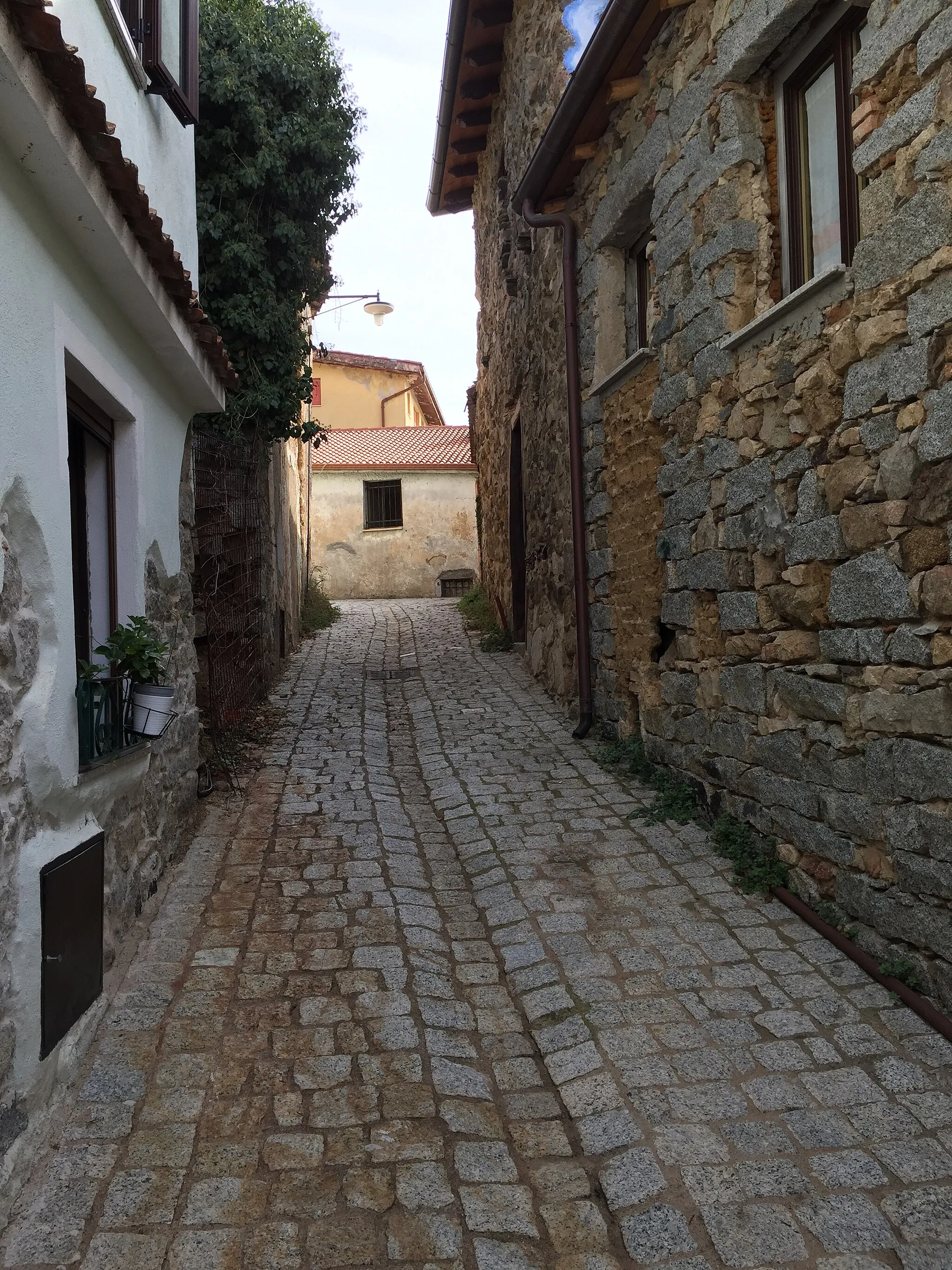 Photo showing: Veduta di uno scorcio del centro di Sorgono.