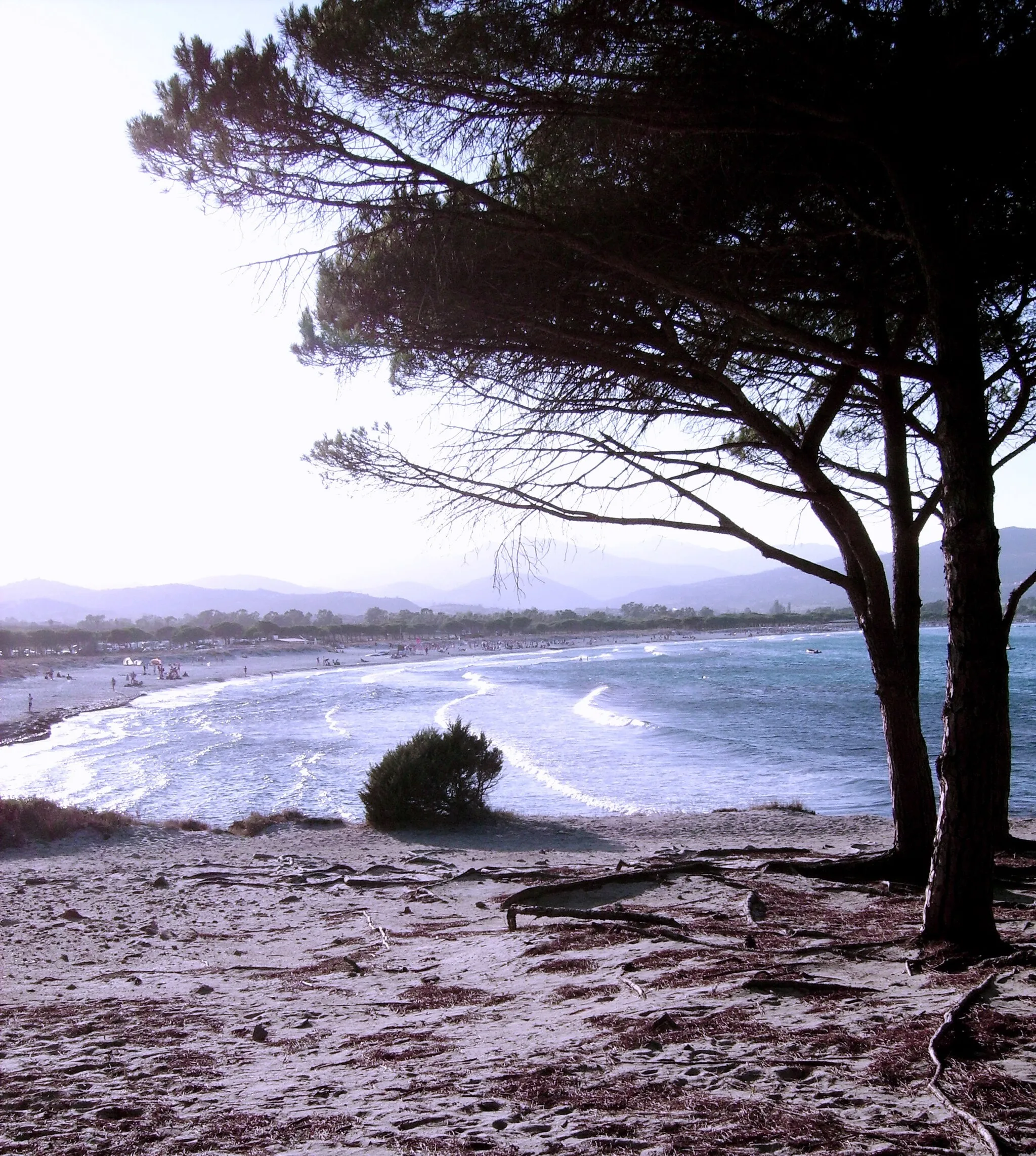 Photo showing: Sardinia Italy
Tanaunella (Budoni) Sant'Anna beach

Own work - august 2006 - by --Shardan 02:12, 12 November 2006 (UTC)