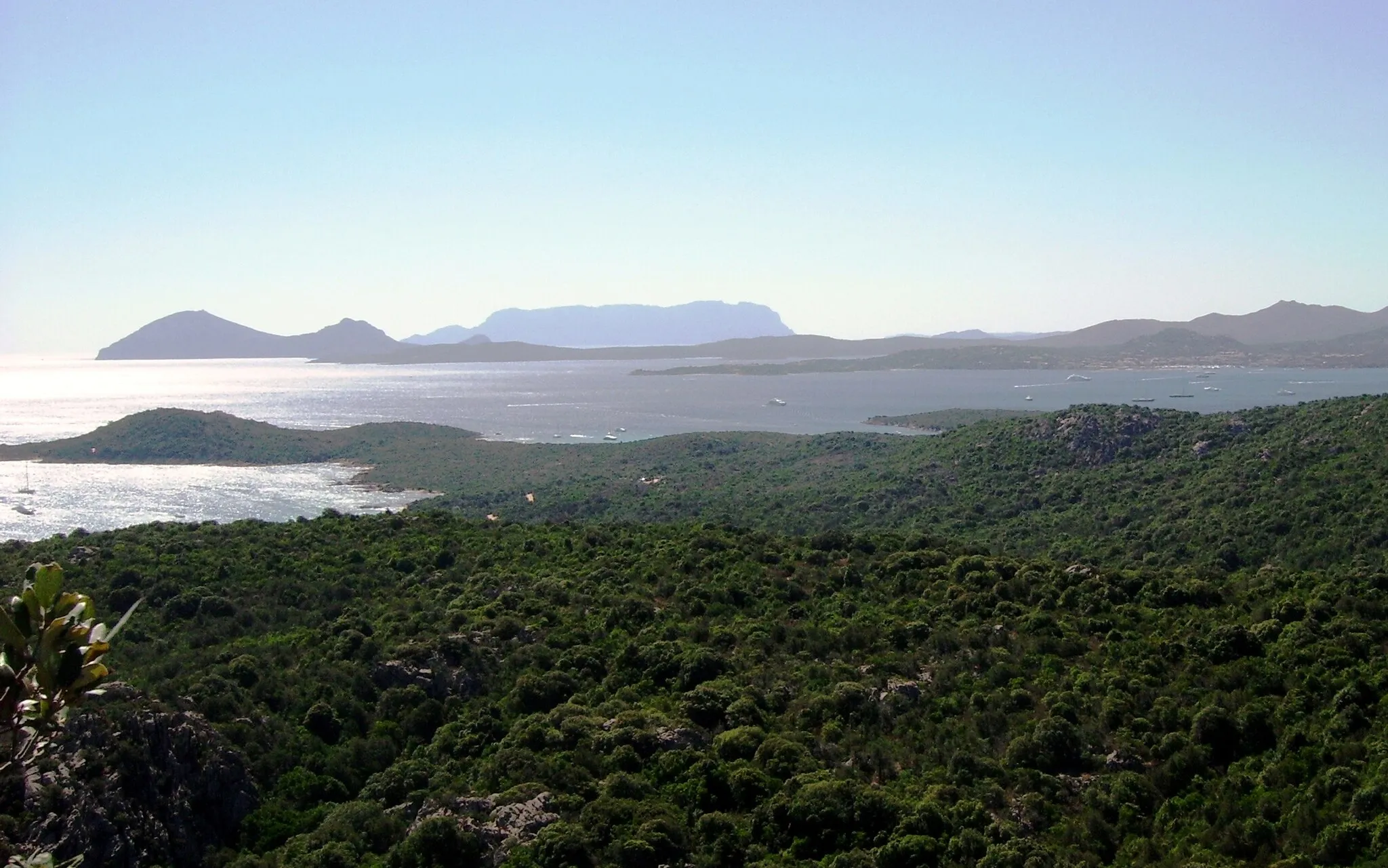 Photo showing: Sardegna - Gallura - Il golfo di Cugnana, sullo sfondo Capo Figari e il profilo di Tavolara

Own work  By --Shardan 16:41, 14 September 2007 (UTC)