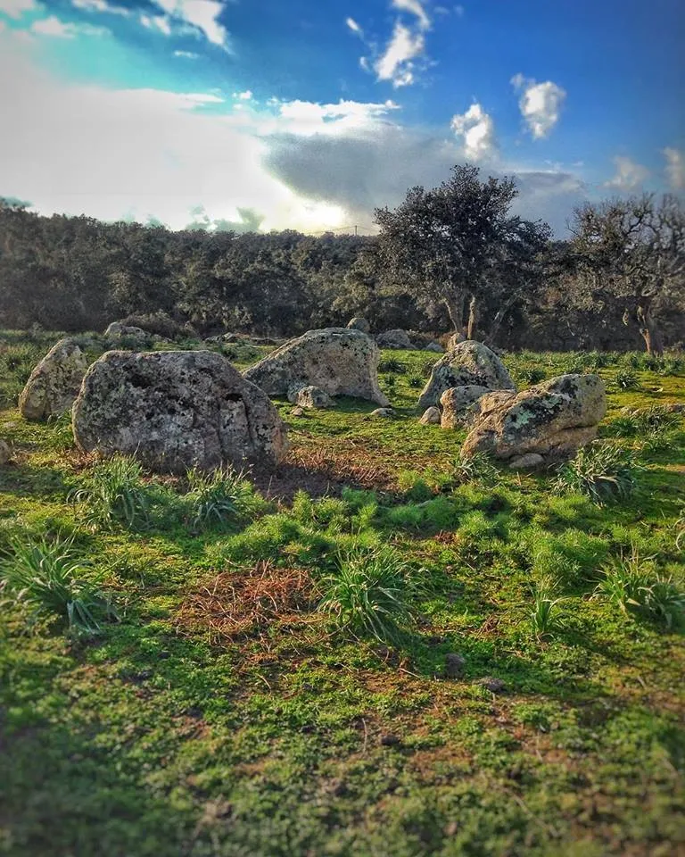 Photo showing: Circolo megalitico di Noddule
