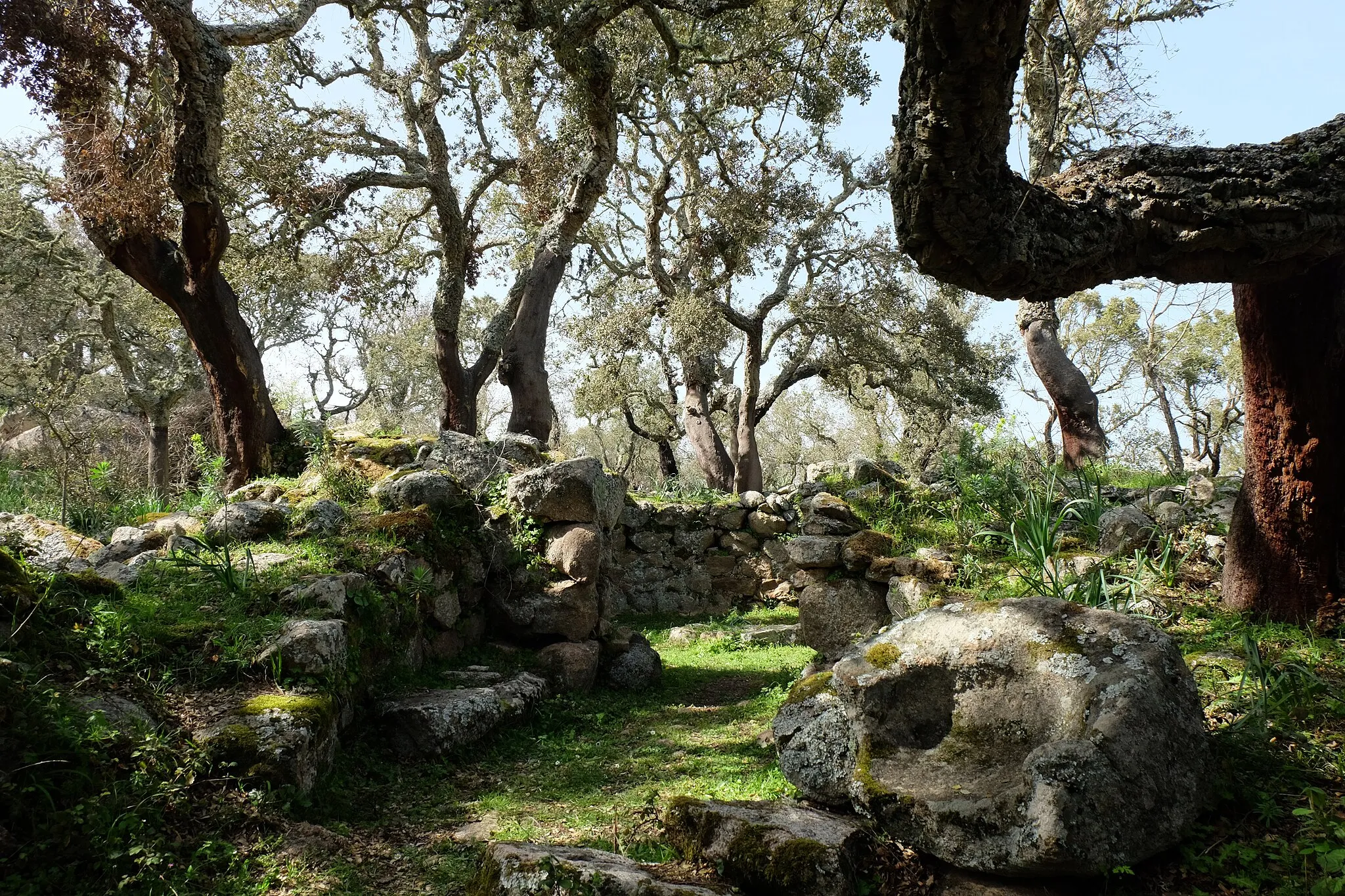 Photo showing: Grande capanna circolare con atrio d'ingresso, sedili e bacile