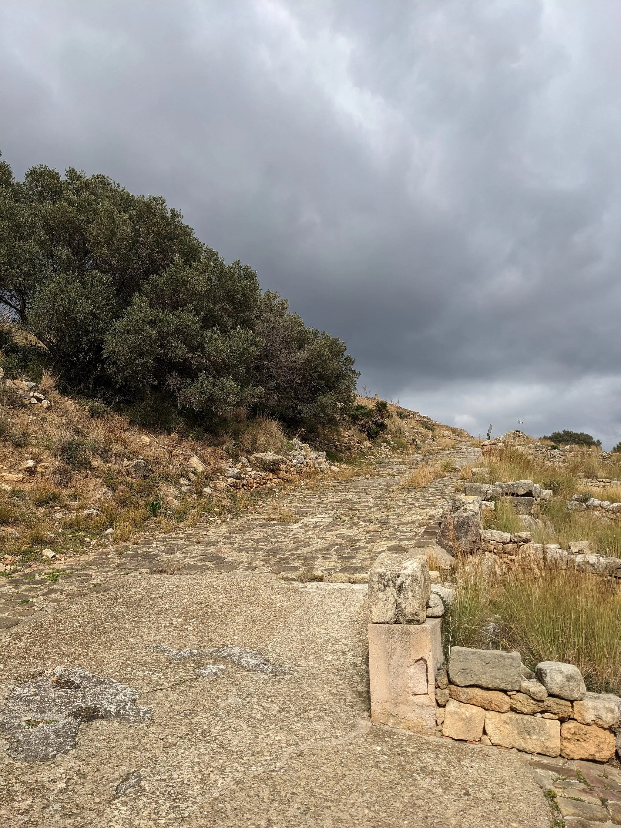 Photo showing: View up ancient street at the site of Solunto, Sicily