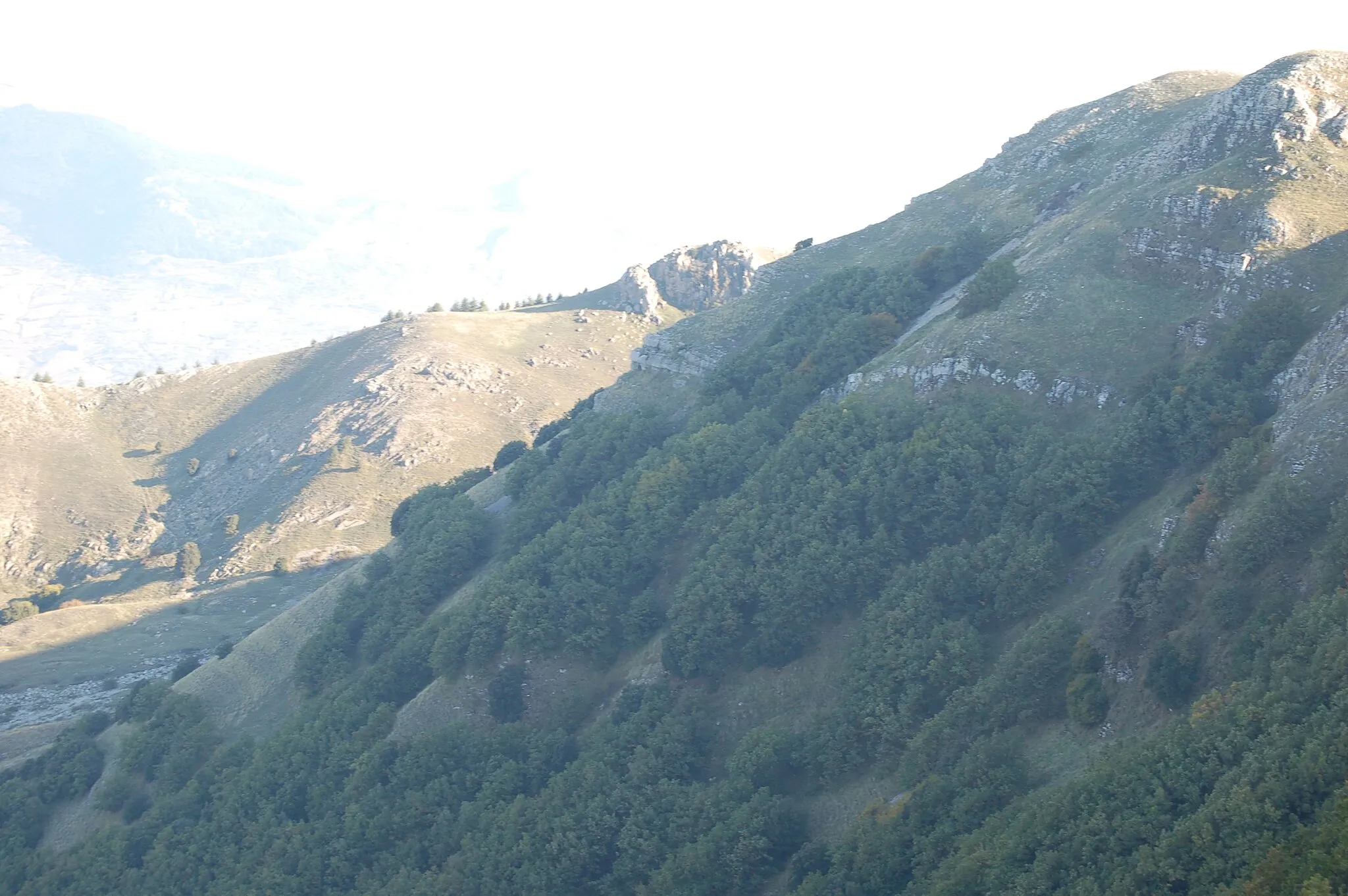Photo showing: Monte delle Rose