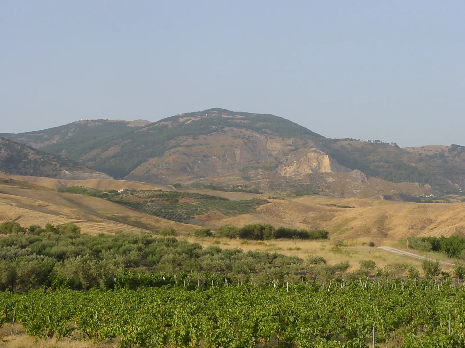 Photo showing: Il Monte delle Rose (versante agrigentino)