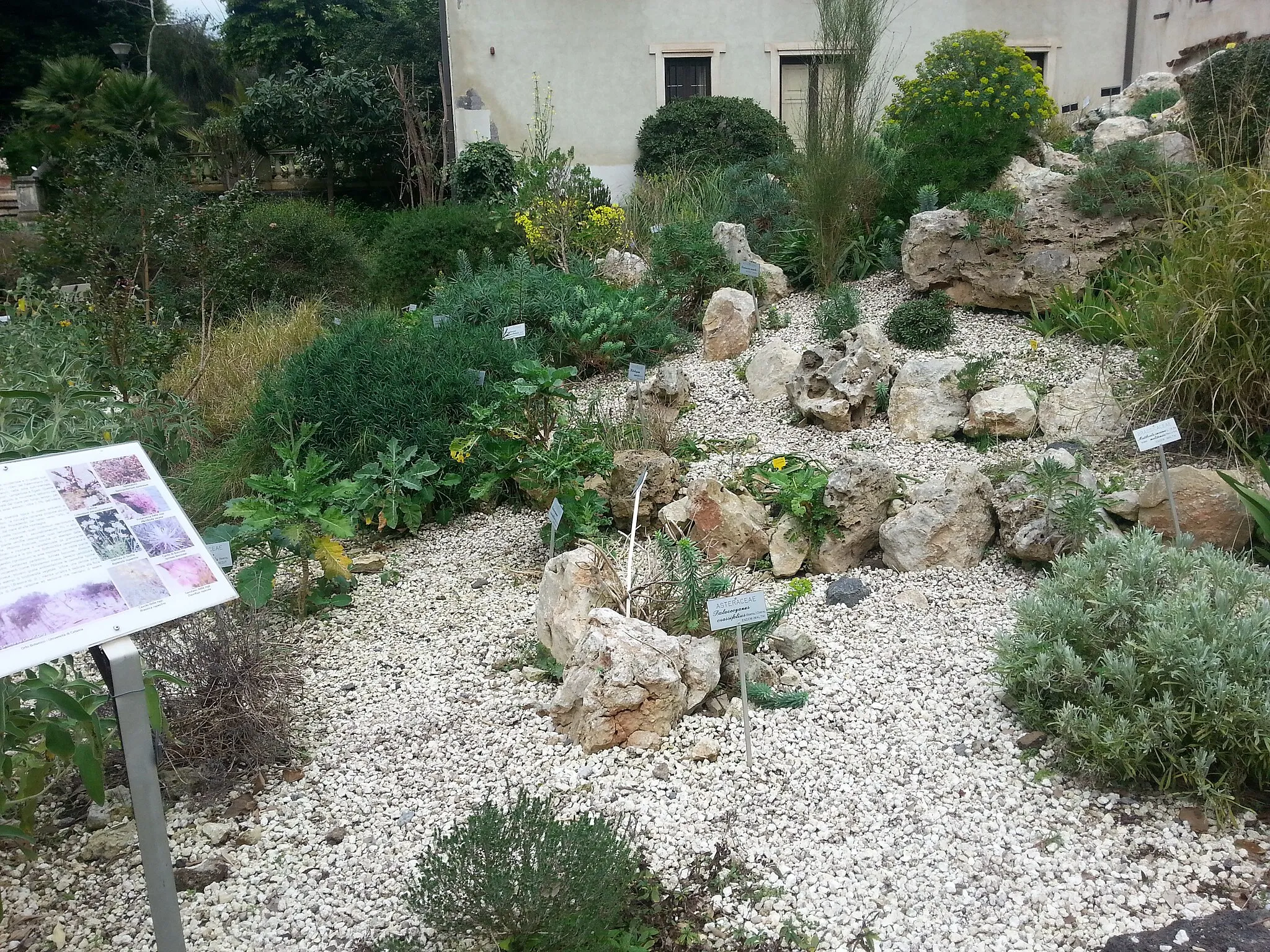 Photo showing: Orto botanico di Catania Orto siculo