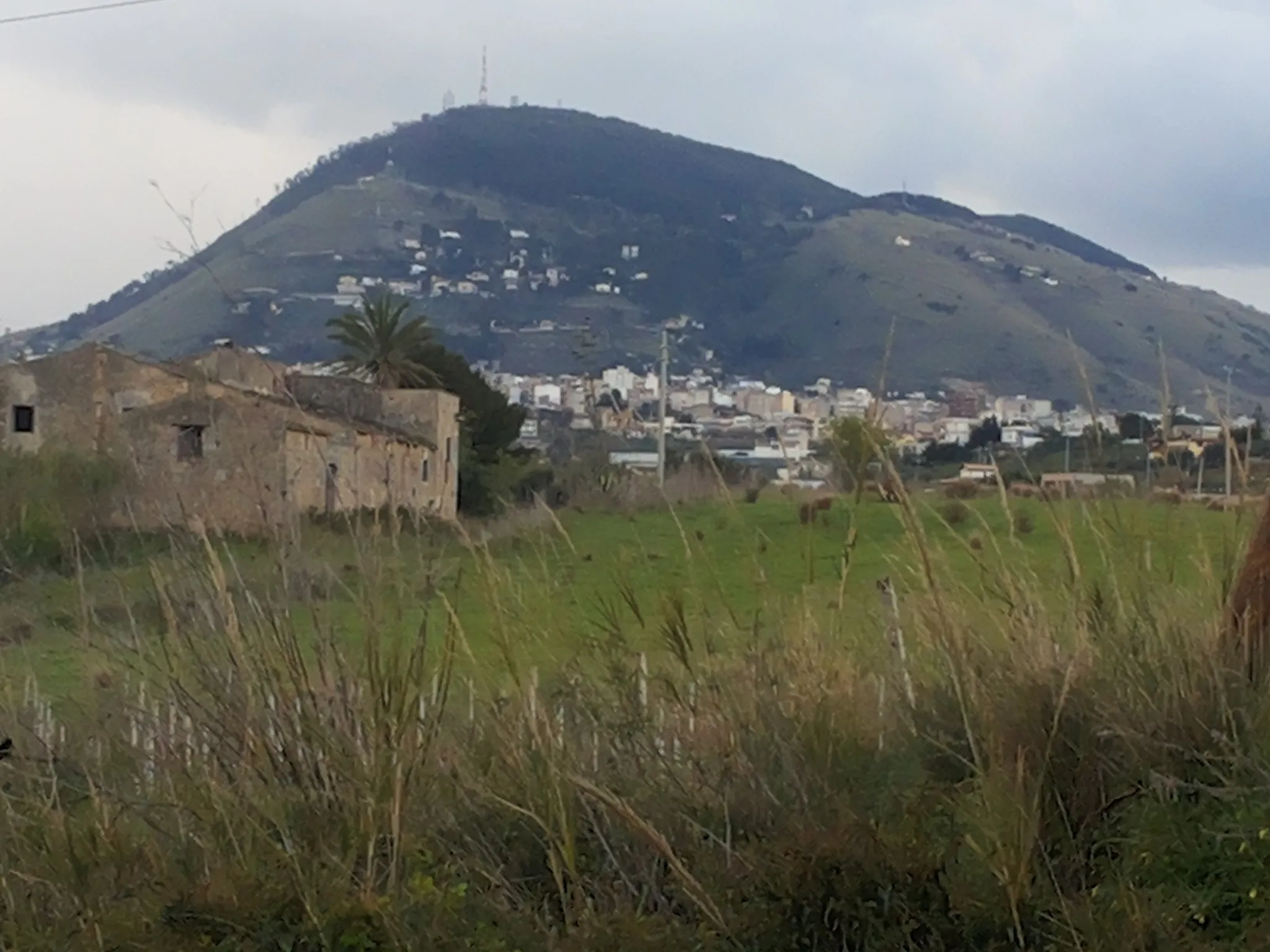 Photo showing: Il Monte Bonifato visto dalle campagne attorno ad Alcamo