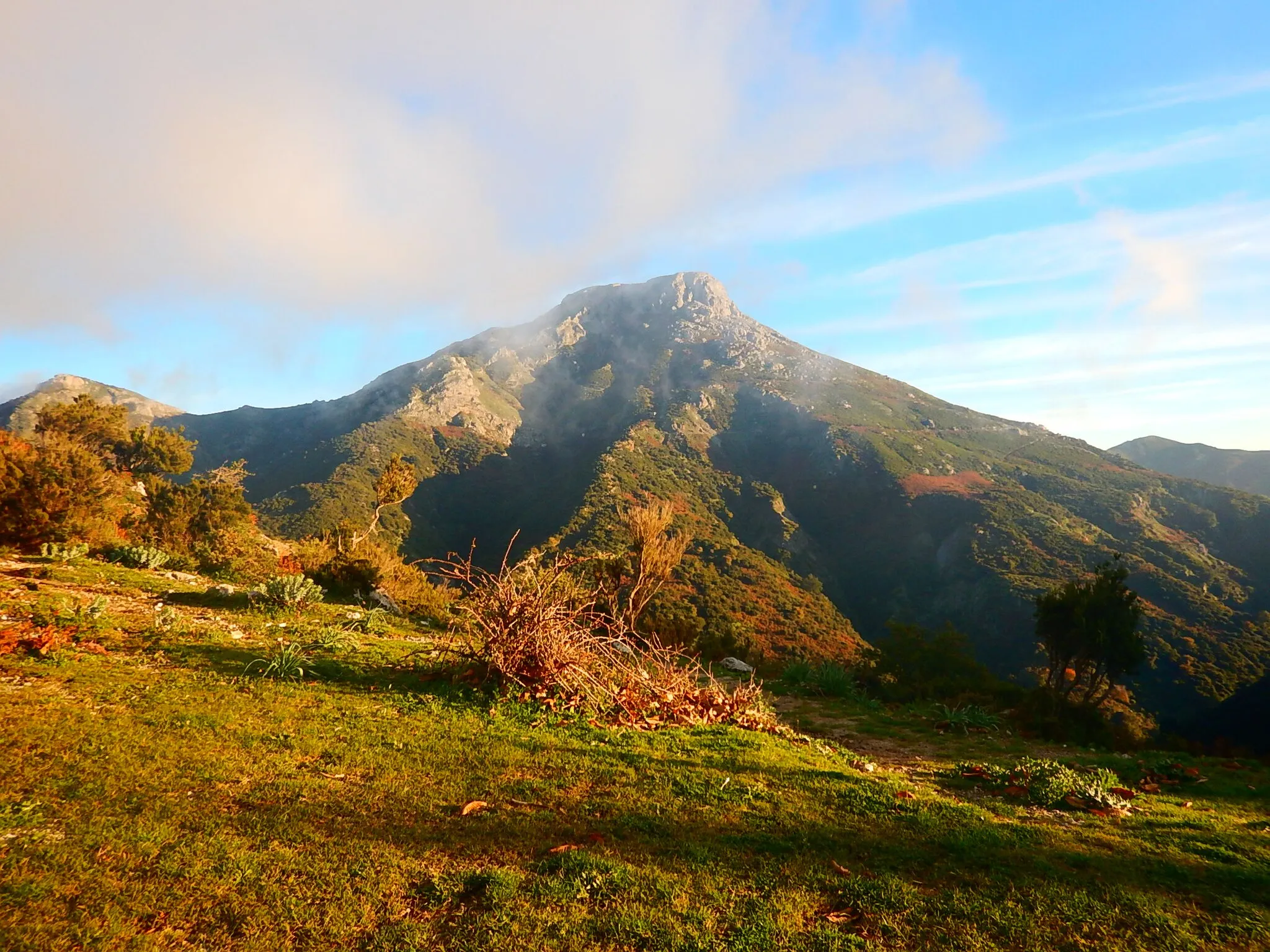 Photo showing: mount Scuderi, Peloritani mountains, Sicily