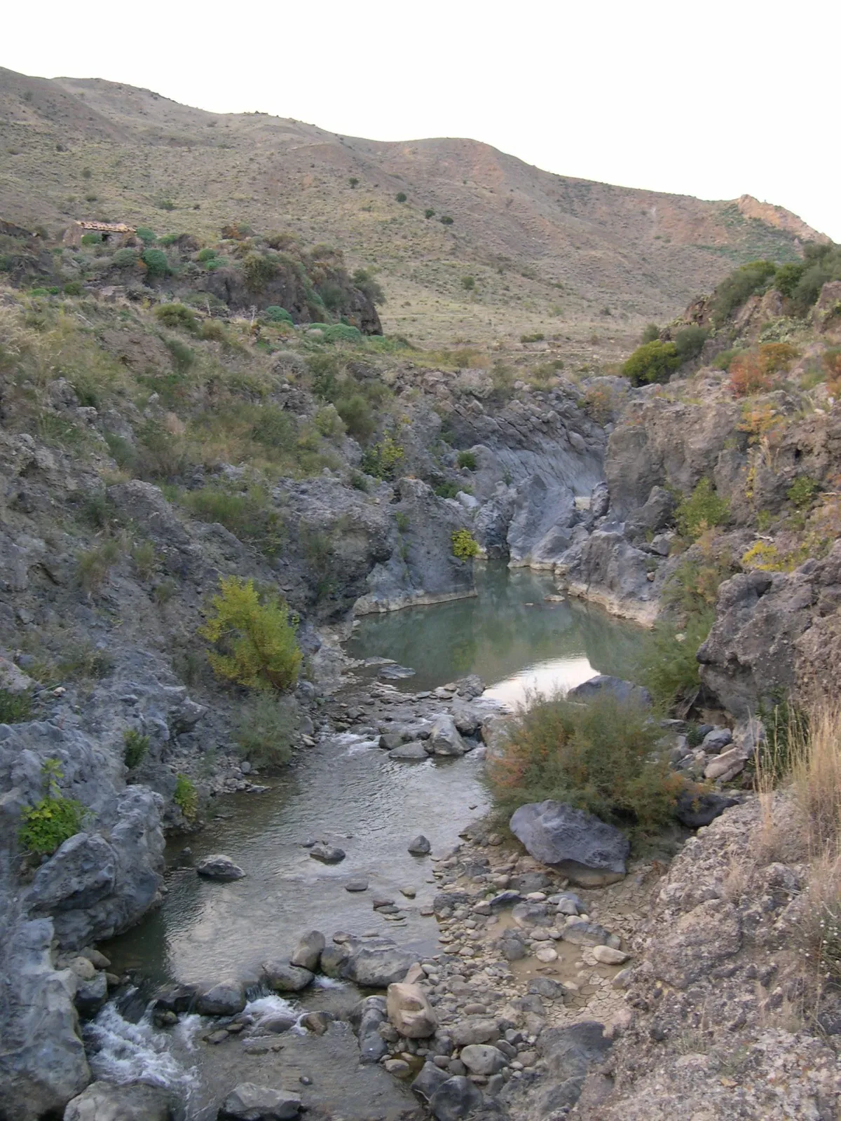 Photo showing: Simeto river in Sicily, near Saraceni bridge