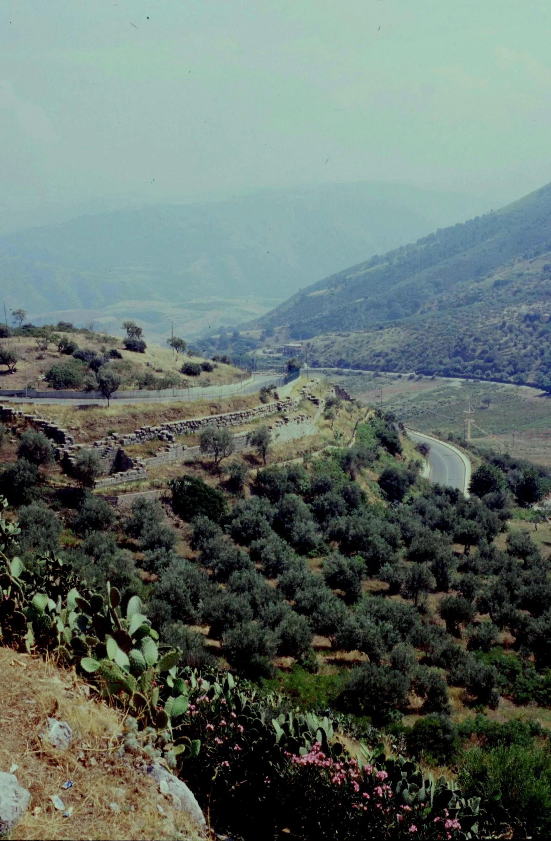 Photo showing: Sicile Tindari Remparts