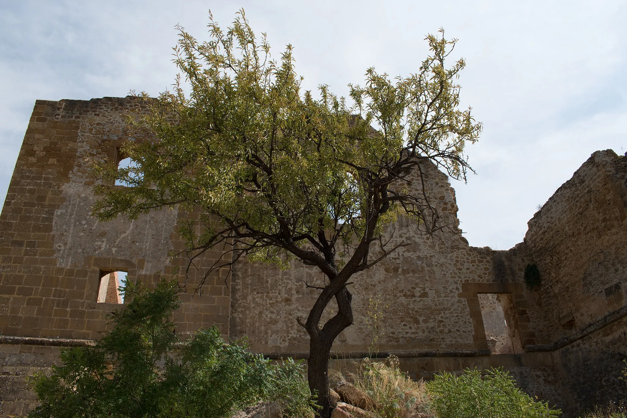 Photo showing: Entrata del castello di Poggiodiana