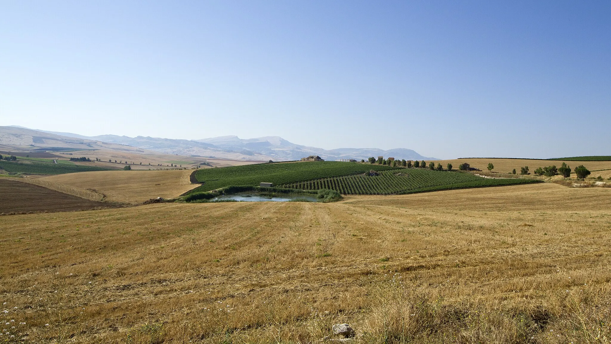 Photo showing: Monreale countryside