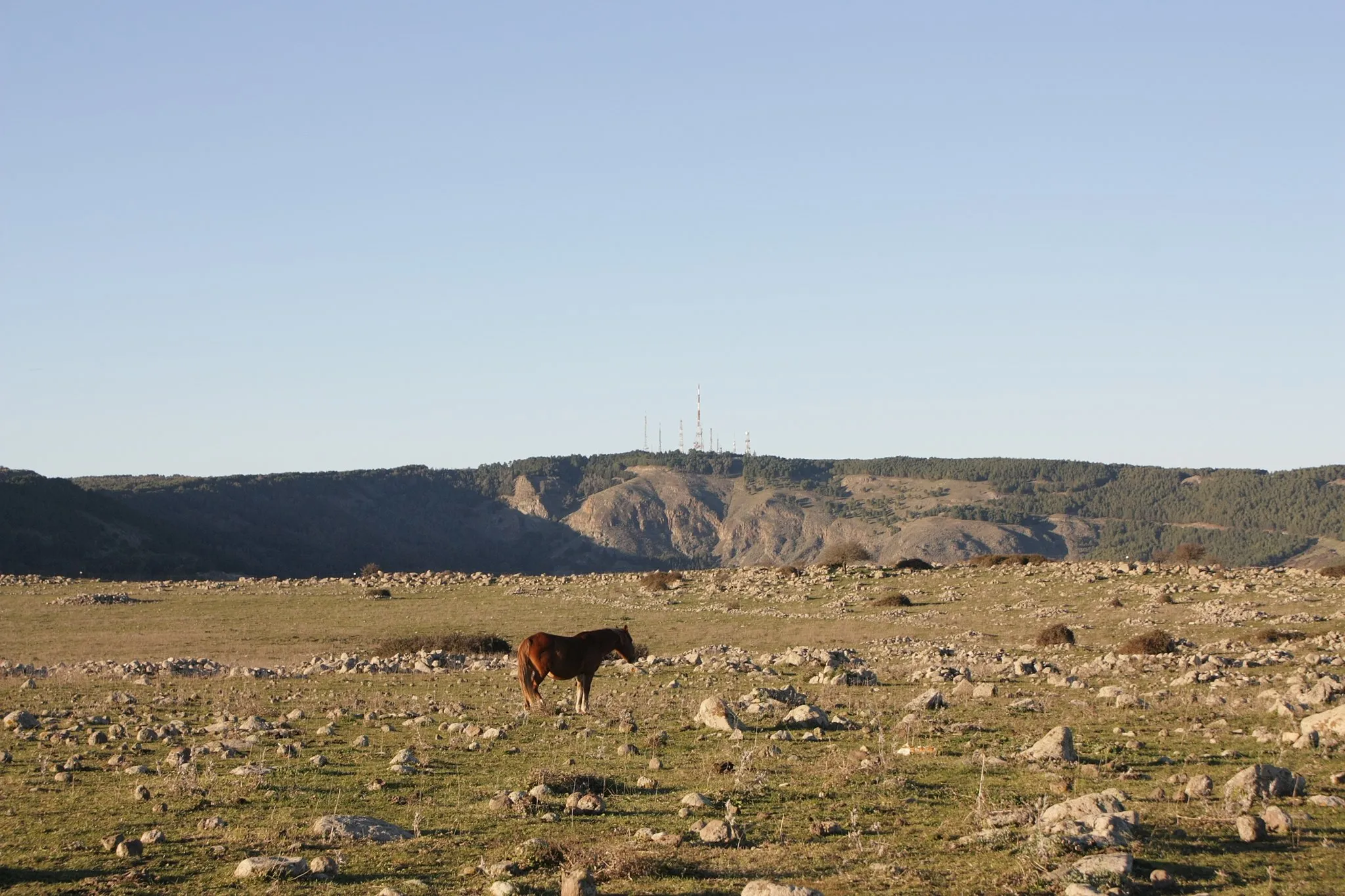 Photo showing: Monte Lauro da Monte Casale