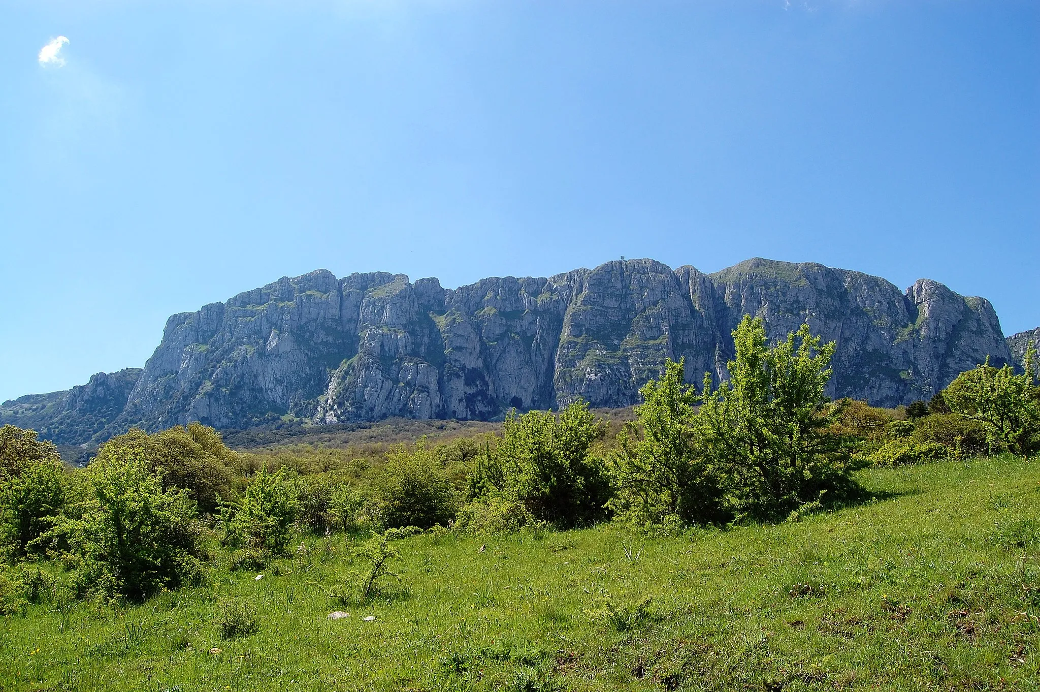 Photo showing: Bosco della Ficuzza, Sicily
Rocca Busambra