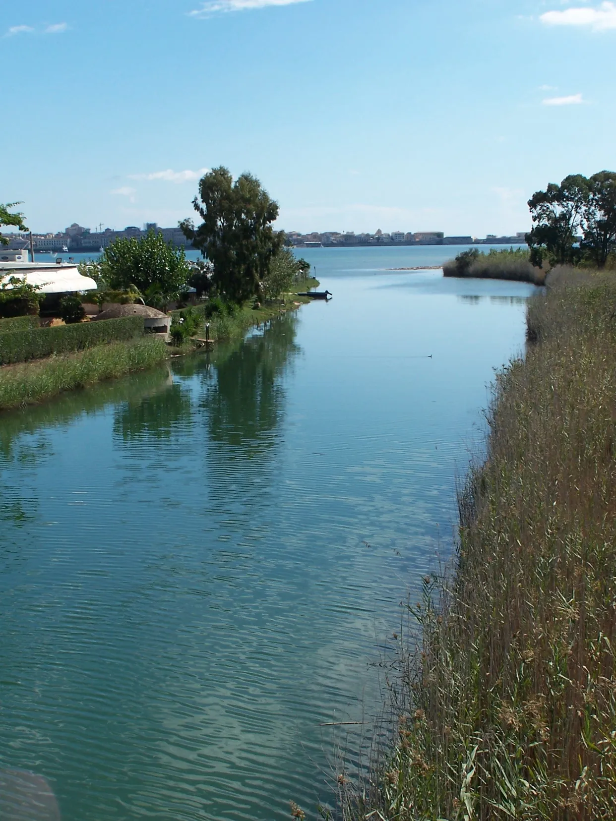 Photo showing: Foce del fiume Anapo, vicino a Siracusa.