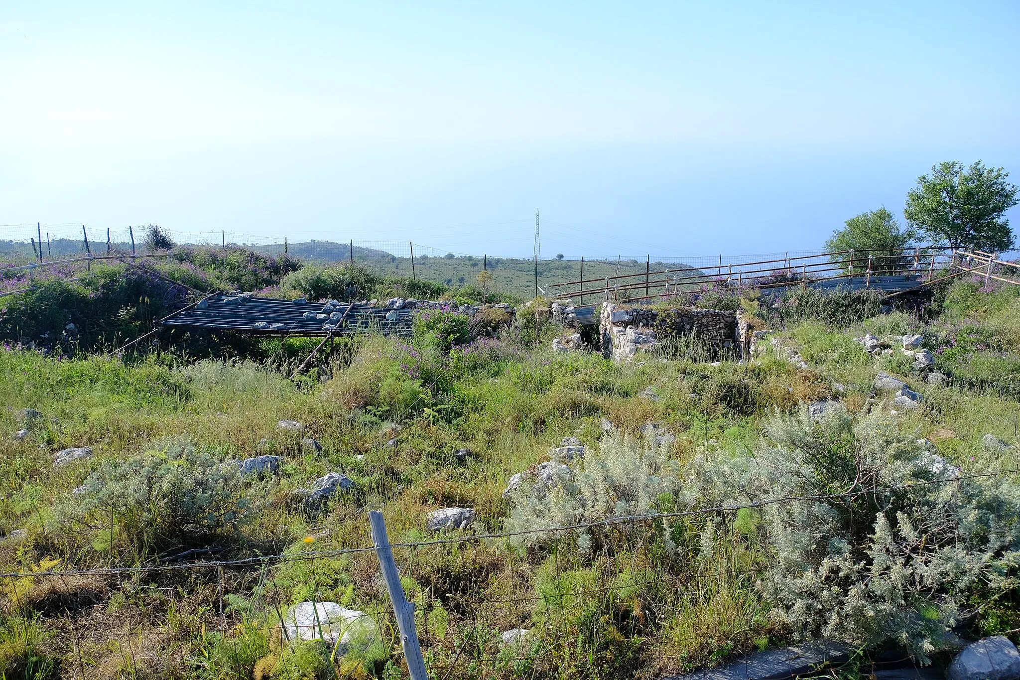 Photo showing: Apollonia di Sicilia