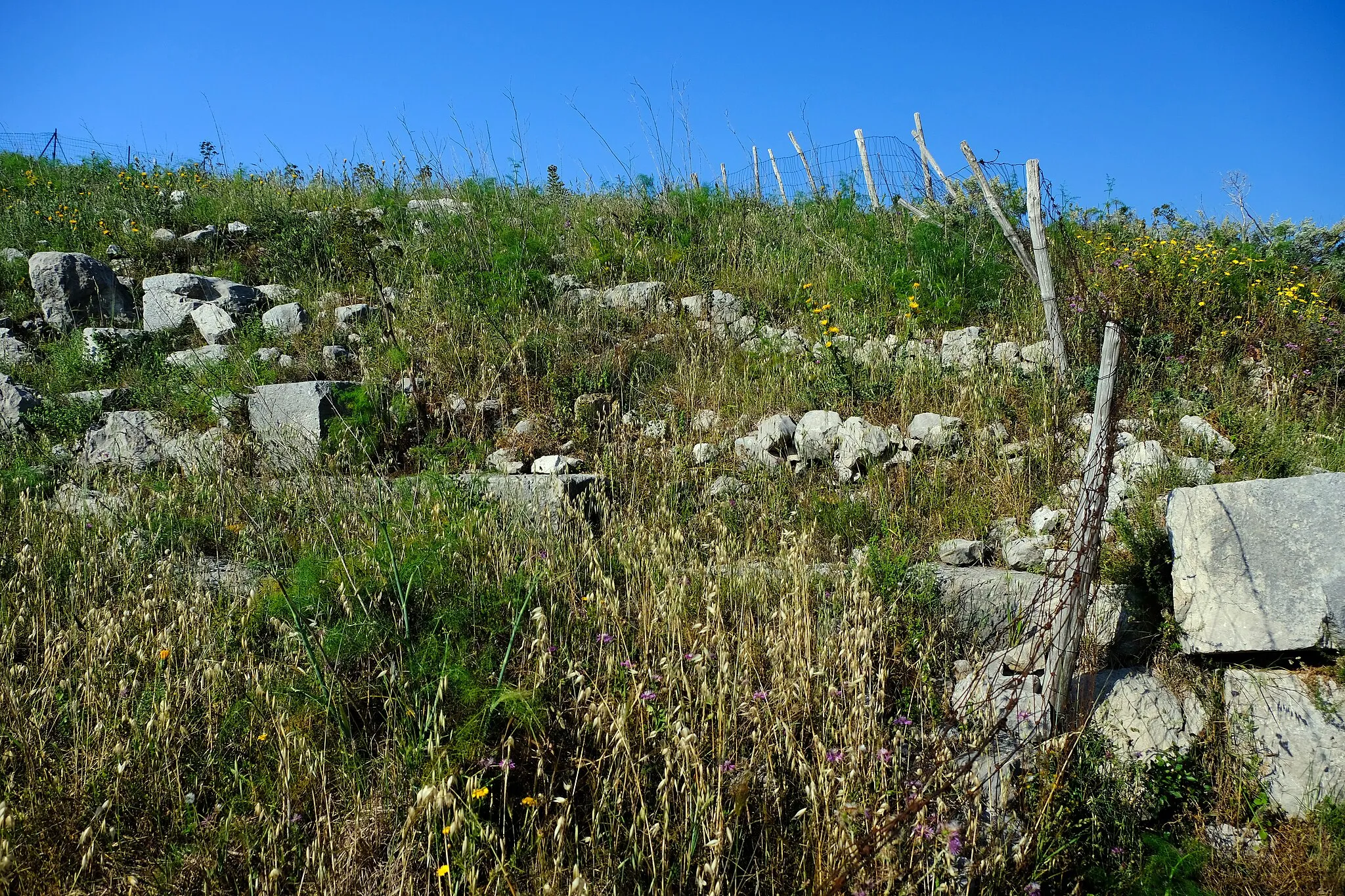 Photo showing: Apollonia di Sicilia