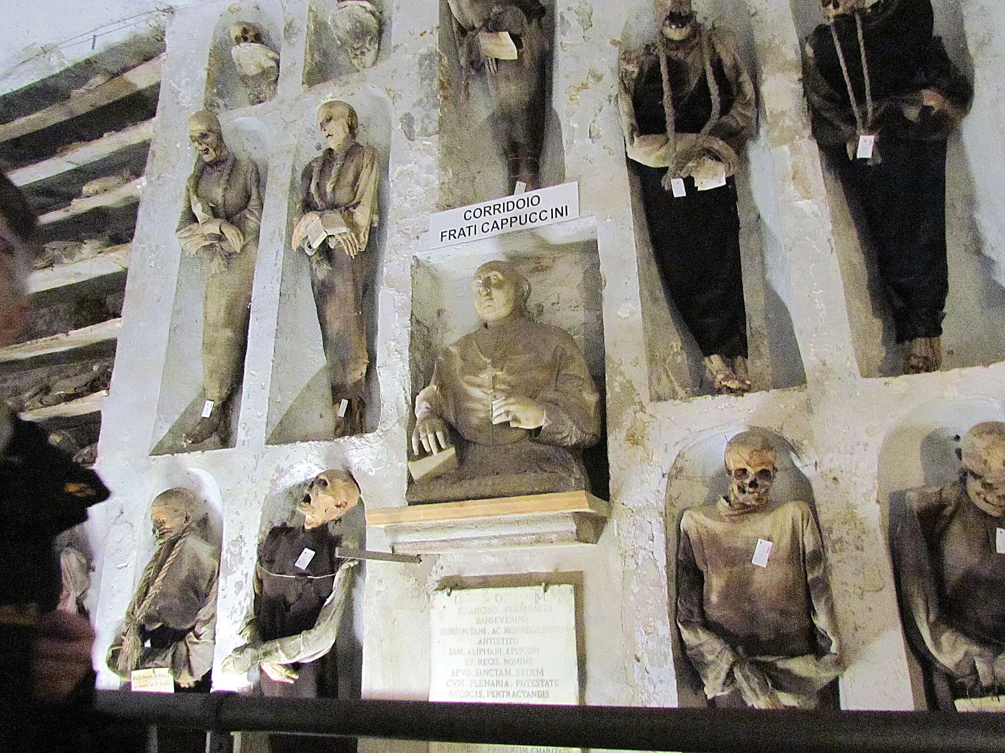 Photo showing: Hall of Monks, Capuchin catacombs (Palermo)