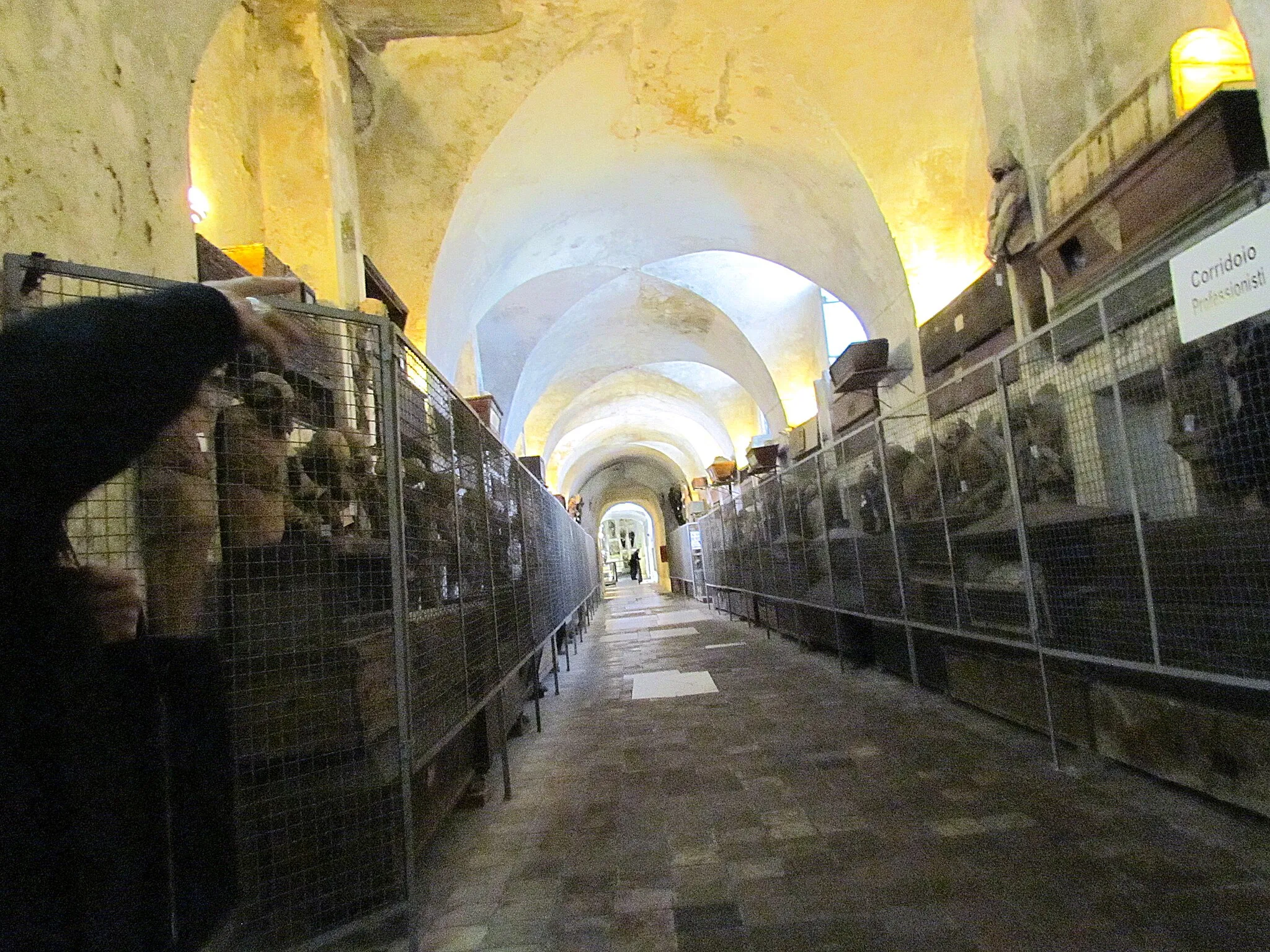 Photo showing: Hall of Professionals, Capuchin catacombs (Palermo)