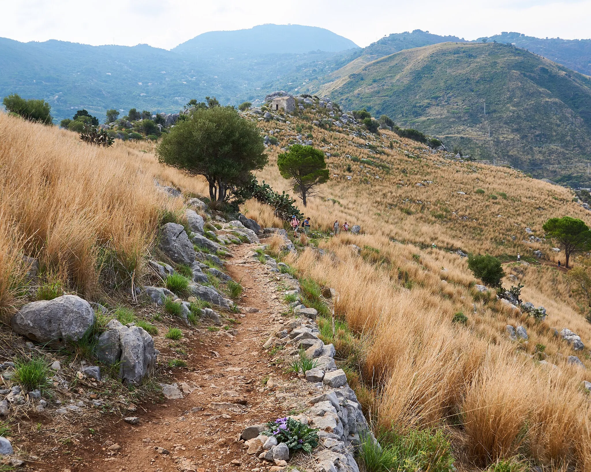 Photo showing: Climbing La Rocca di Cefalu