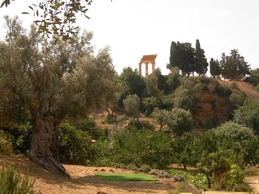 Photo showing: agrigento_kolymbetra