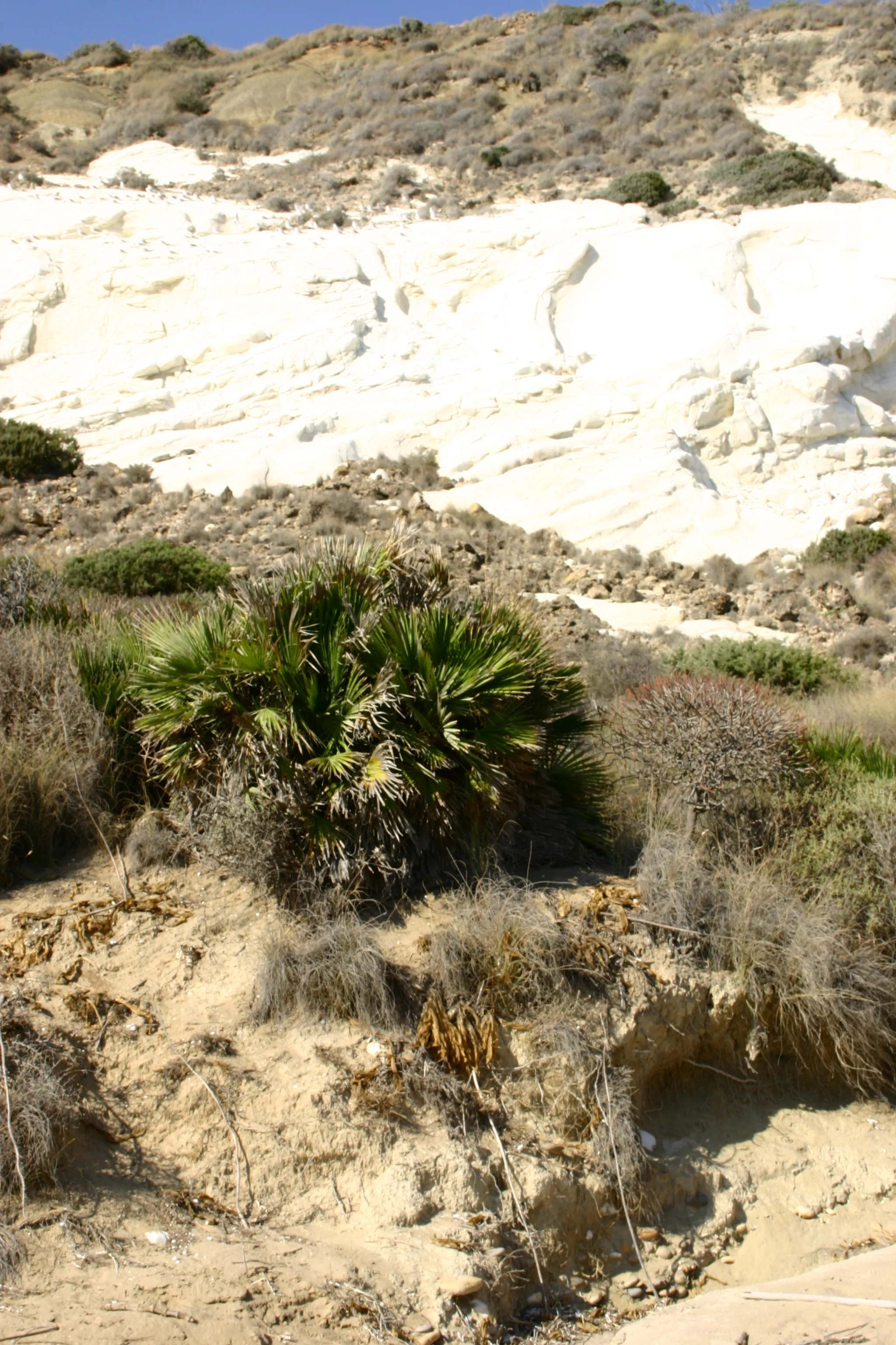 Photo showing: The authorisation for taking photos of this object was provided by the World Wide Fund for Nature Italy.