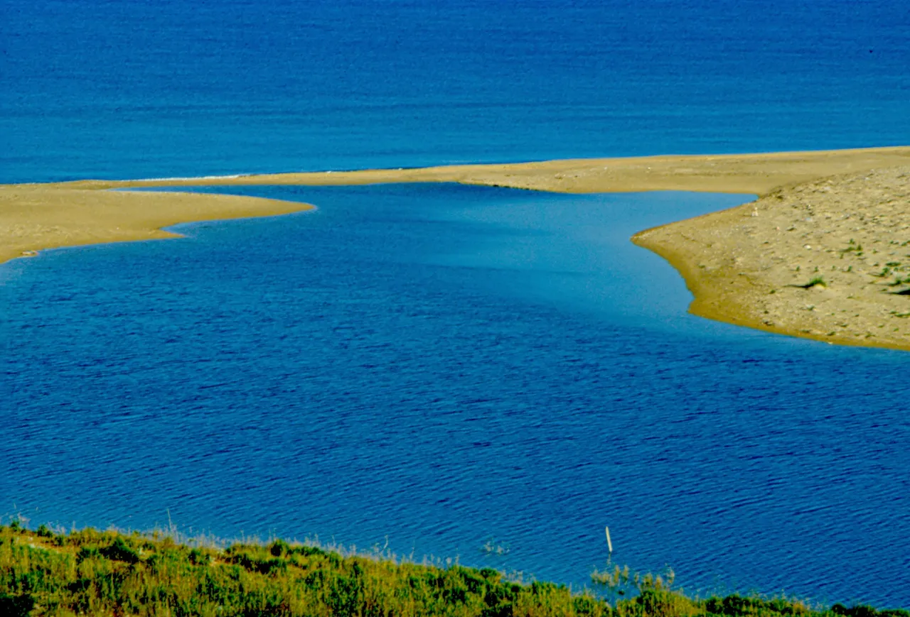 Photo showing: Riserva naturale Foce del Fiume Platani, Sicily