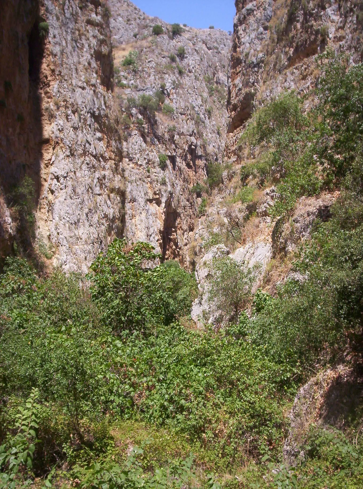 Photo showing: Le gole della Tardara formate dal fiume Carboj